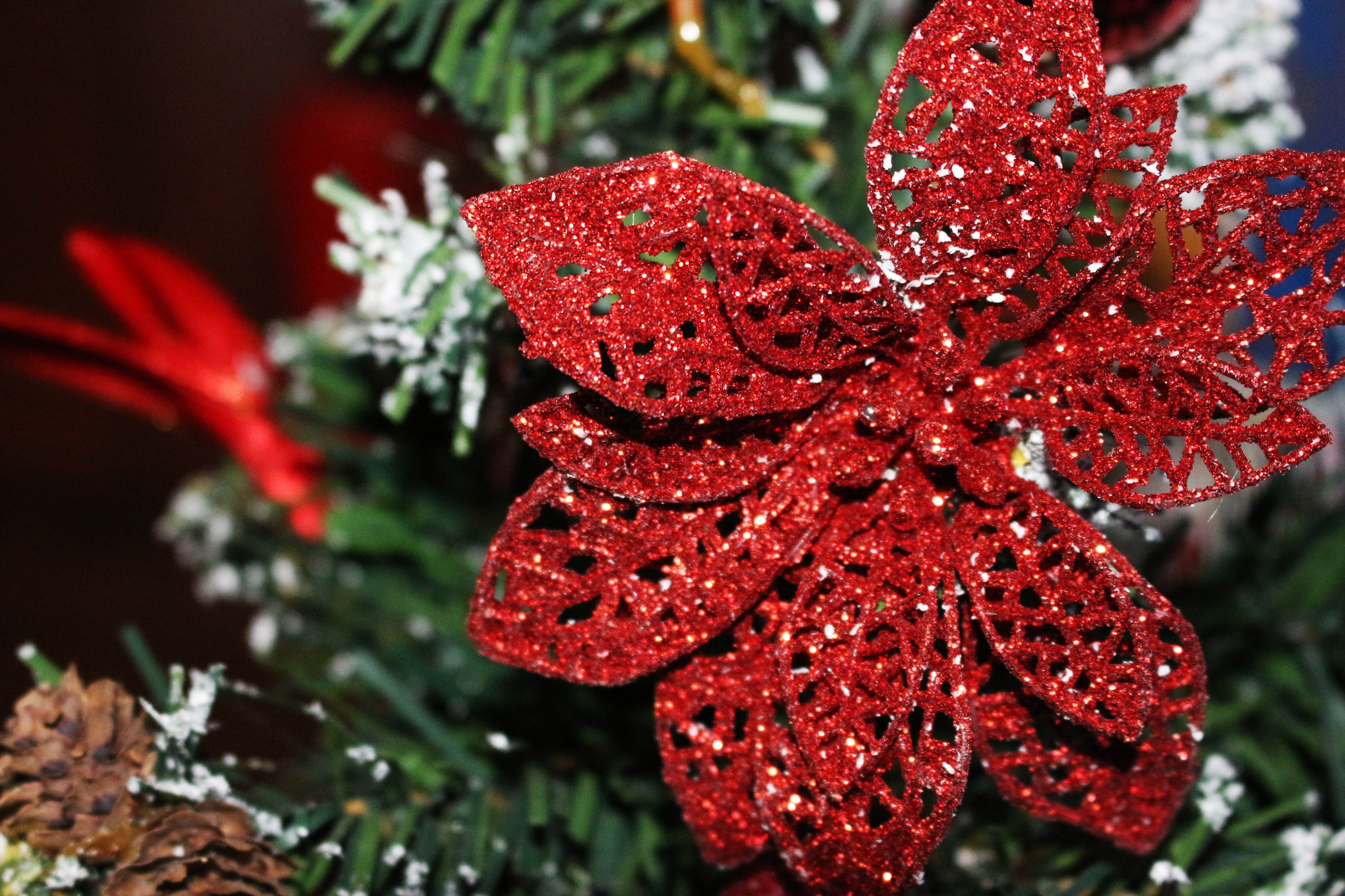 color Image, faux, green Color, fragility, celebration, beauty In Nature, outdoors, macro, ornament, poinsettia, christmas, christmas Tree, water, red, HD Wallpaper
