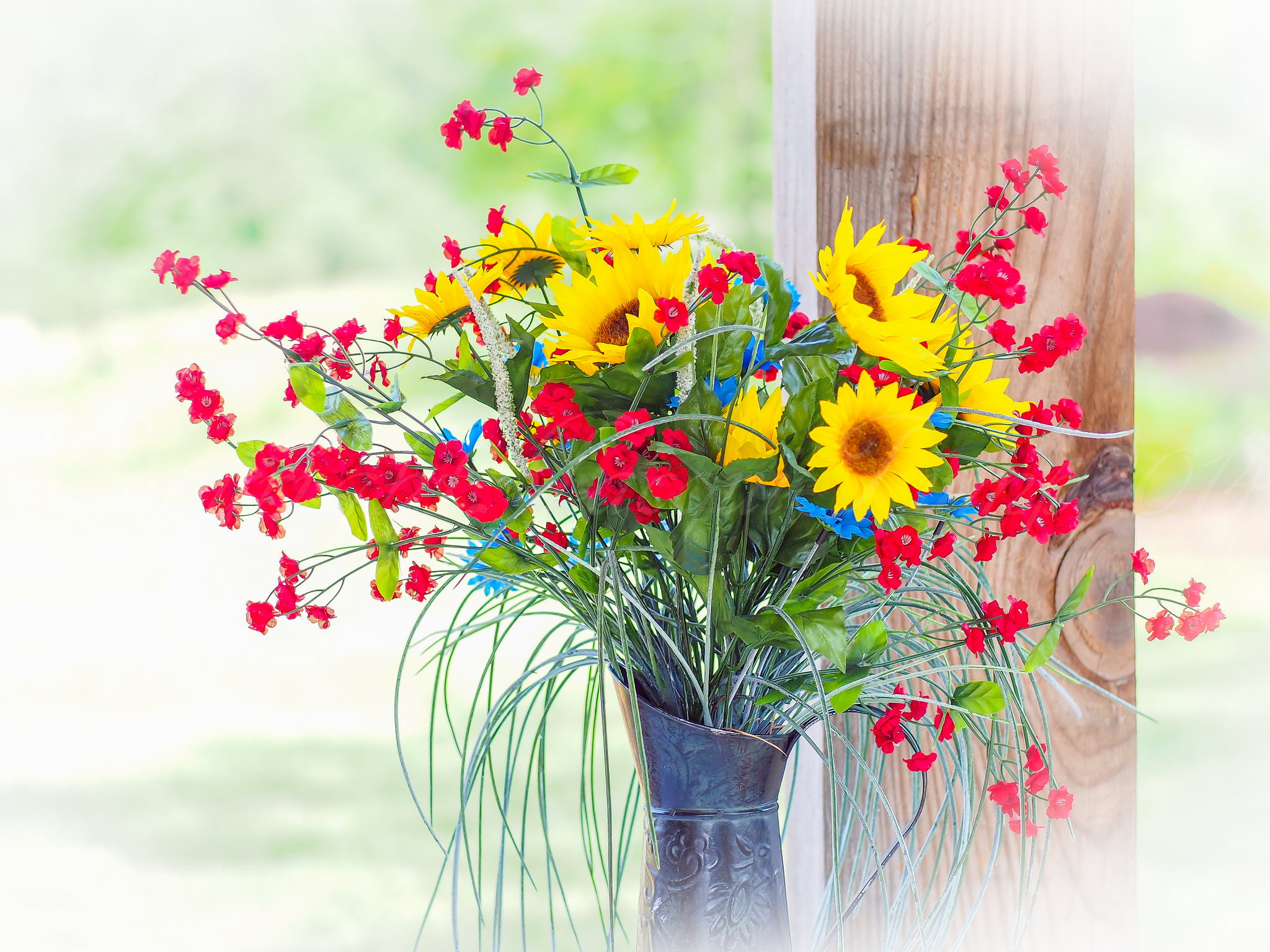 plant, 1080P, flower pot, flower head, faux, pitcher, multi colored, beauty in nature, petal, bunch of flowers, growth, flowering plant, flower, window, HD Wallpaper