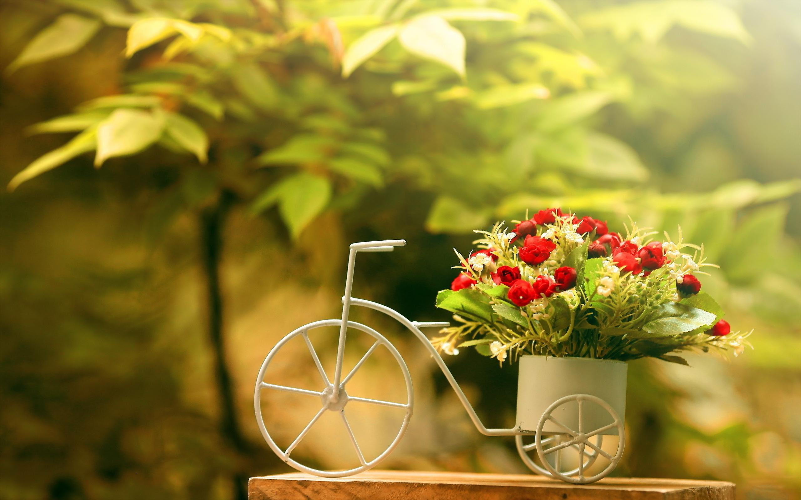 beauty in nature, botany, green color, foliage, bunch of flowers, growth, nature, 2K, flower head, no people, flower, vulnerability, roses, bike, bouquet, HD Wallpaper
