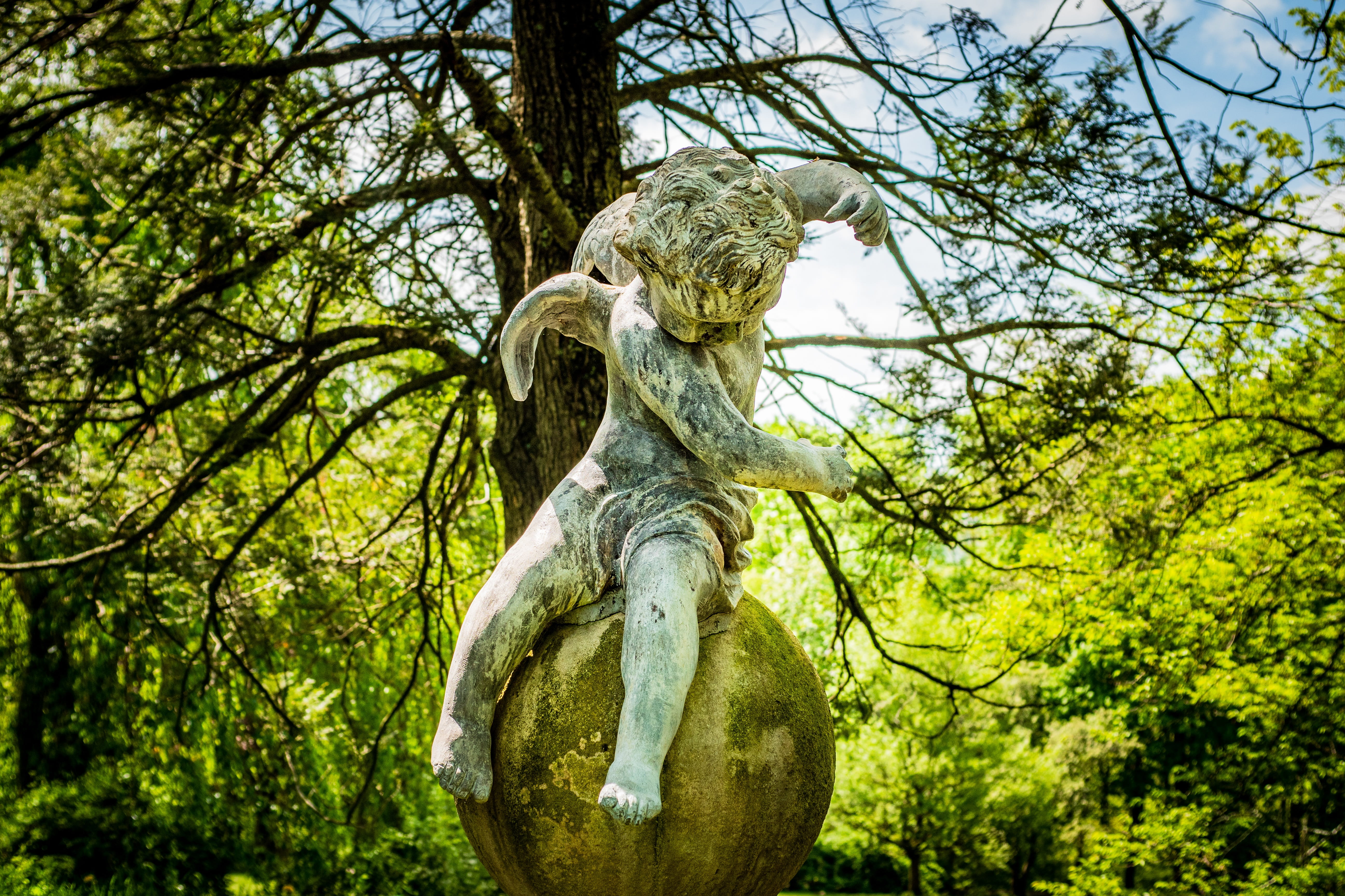 no people, tree, cupid, forest, human representation, nature, representation, park, new jersey botanical garden, art and craft, green color, outdoors, growth, HD Wallpaper