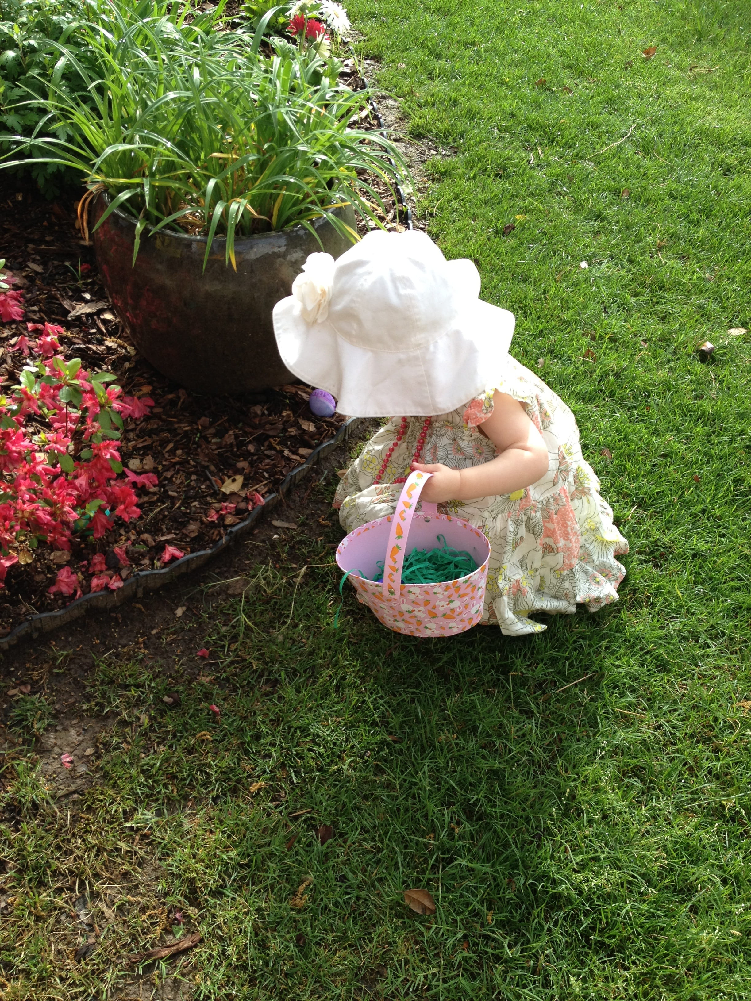 beauty in nature, field, easter, child, cute, colorful, nature, 2K, plant, sun, green Color, one person, white, day, flower, Basket, formal Garden, dress, Phone HD Wallpaper