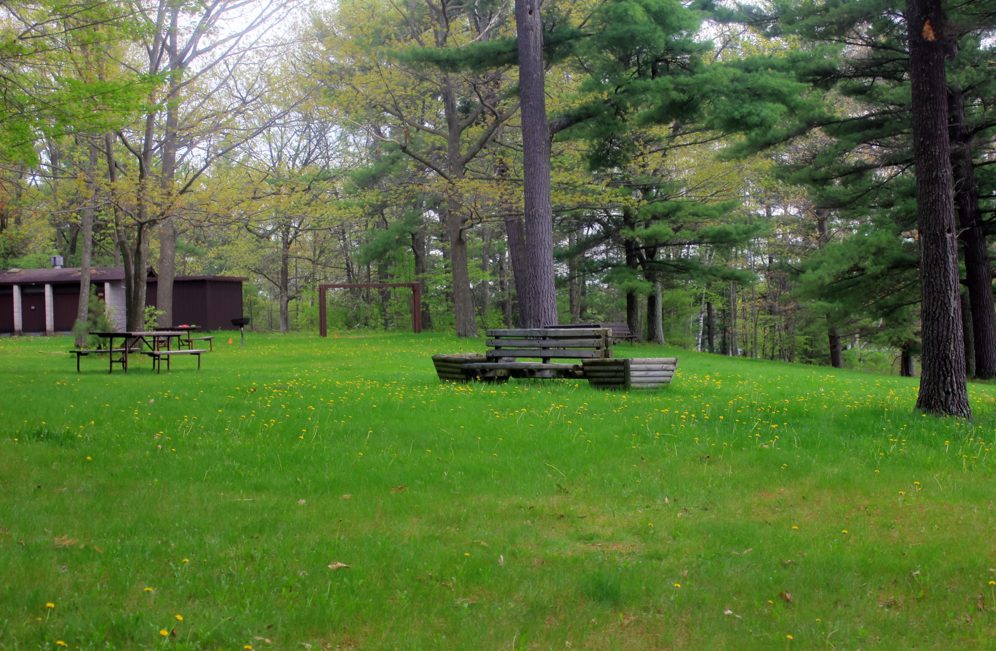 day, outdoors, nature, tranquility, tranquil Scene, tree, empty, Council Grounds State Park, forest, growth, state, Wisconsin, beauty in nature, absence, HD Wallpaper