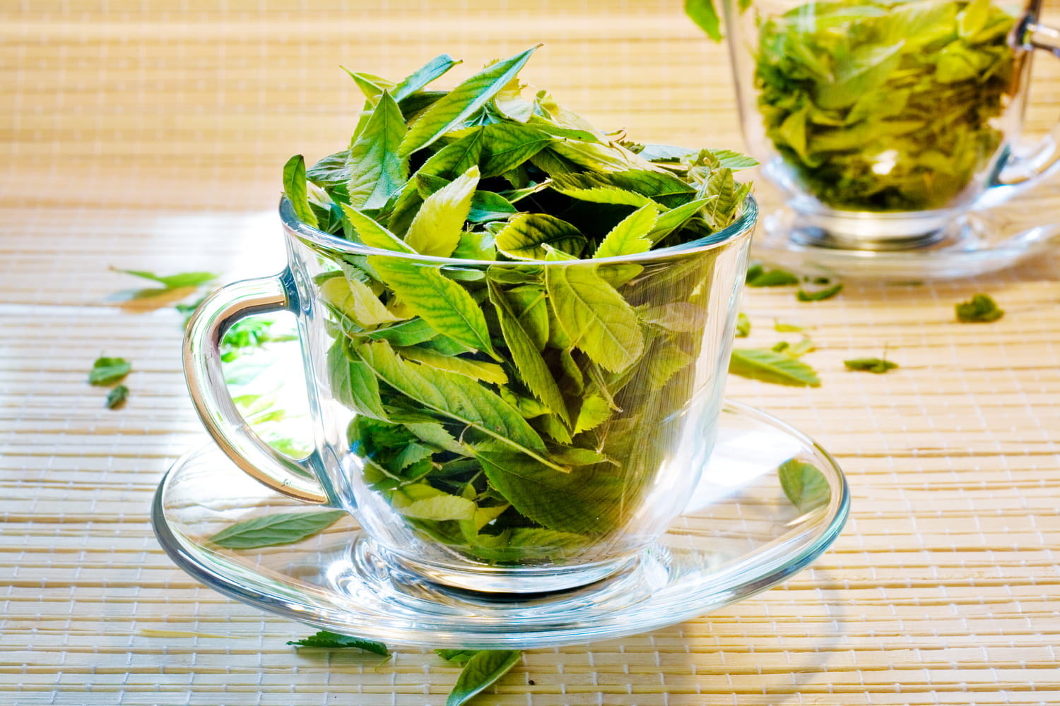 design, tea - hot drink, icon, nutrition, leaf, healthy, crockery, natural, mint leaf - culinary, health, glass, food, plant part, flora, green, green color, HD Wallpaper