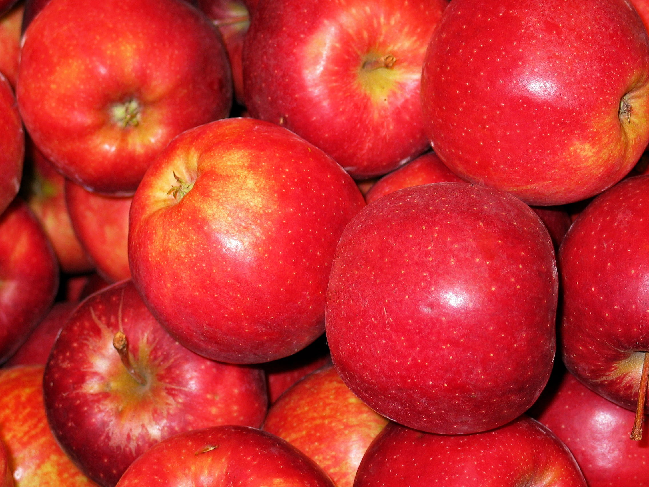 photography, large group of objects, healthy, ripe, chalkboard apple, eat, abundance, closeup, baked apple, pulp, food and drink, sale, no people, healthy lifestyle, HD Wallpaper