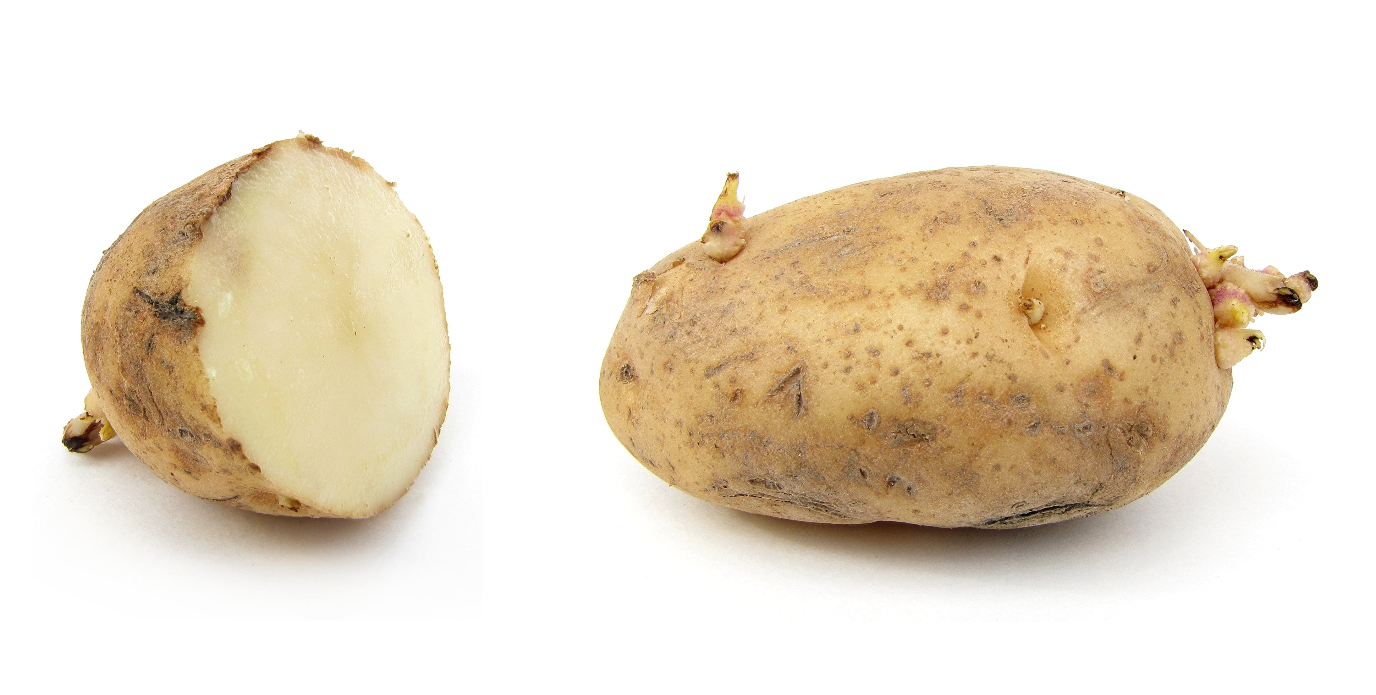 healthy eating, indoors, studio shot, Apple, Potato, food, root vegetable, freshness, close-up, cook, cut out, 4K, grundbirne, solanum tuberosum, brown, HD Wallpaper