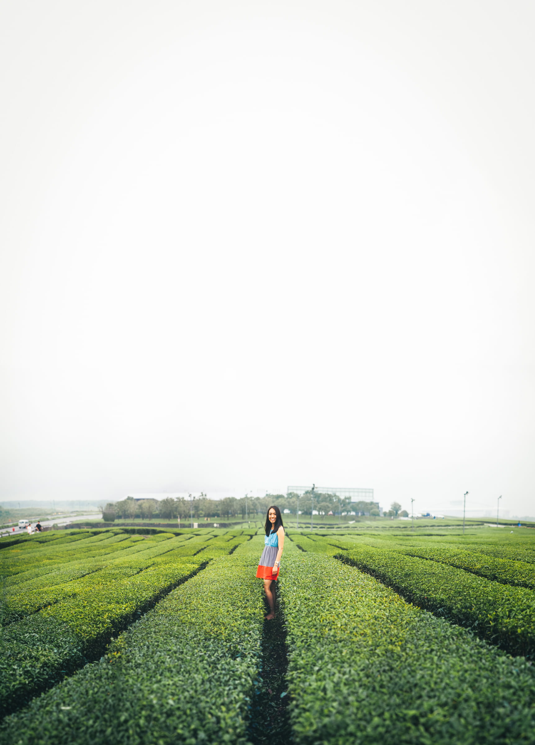 green color, woman leader, copy space, field, girl, nature, growth, day, jeju, osulloc tea garden, powerful, south korea, environment, woman, real people, Phone HD Wallpaper