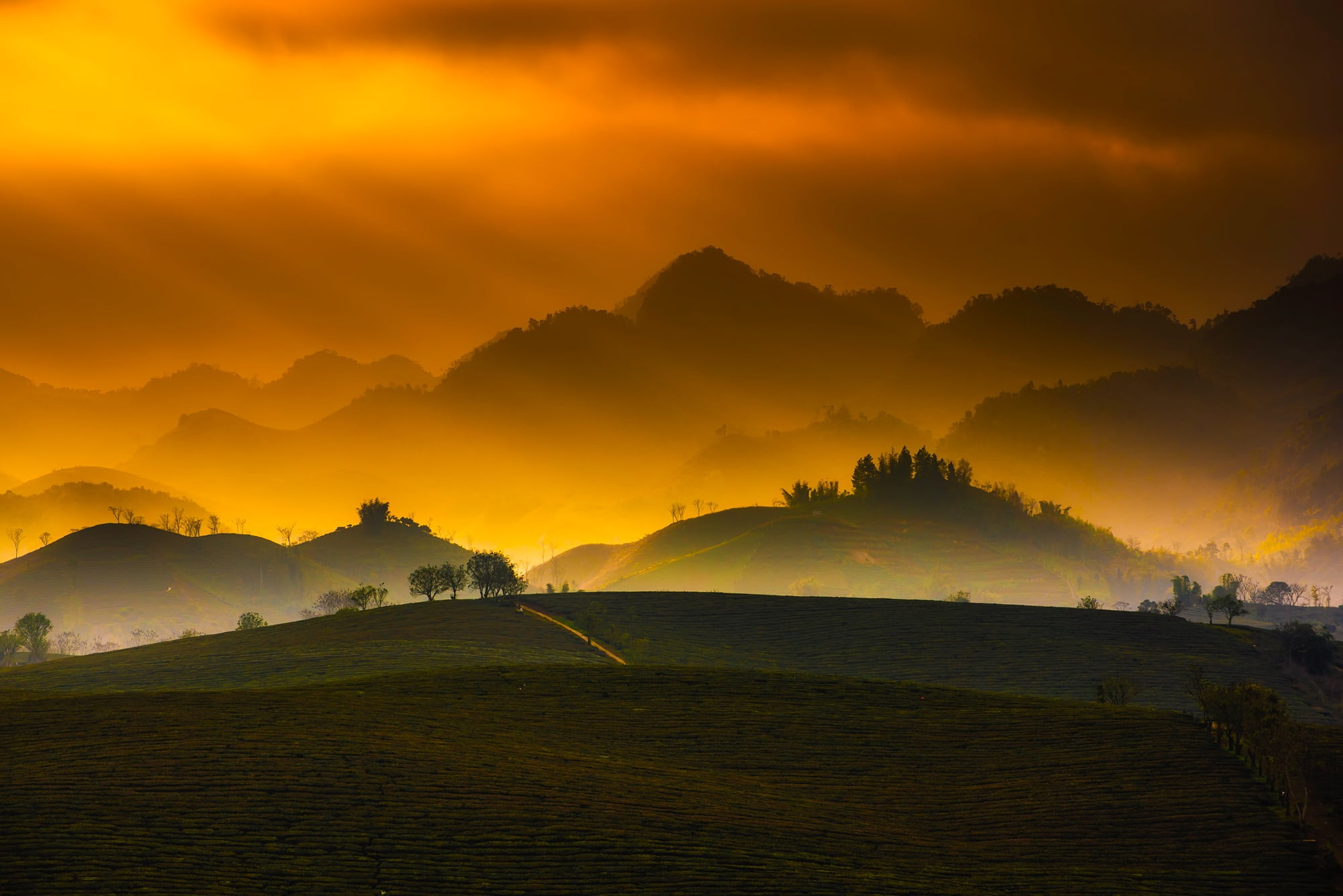 sunset, scenic, trees, rural, no people, country, grass, mountain, beautiful, silhouette, plain, tropical, hour, morning, hdr, land, rural scene, scenics - nature, HD Wallpaper