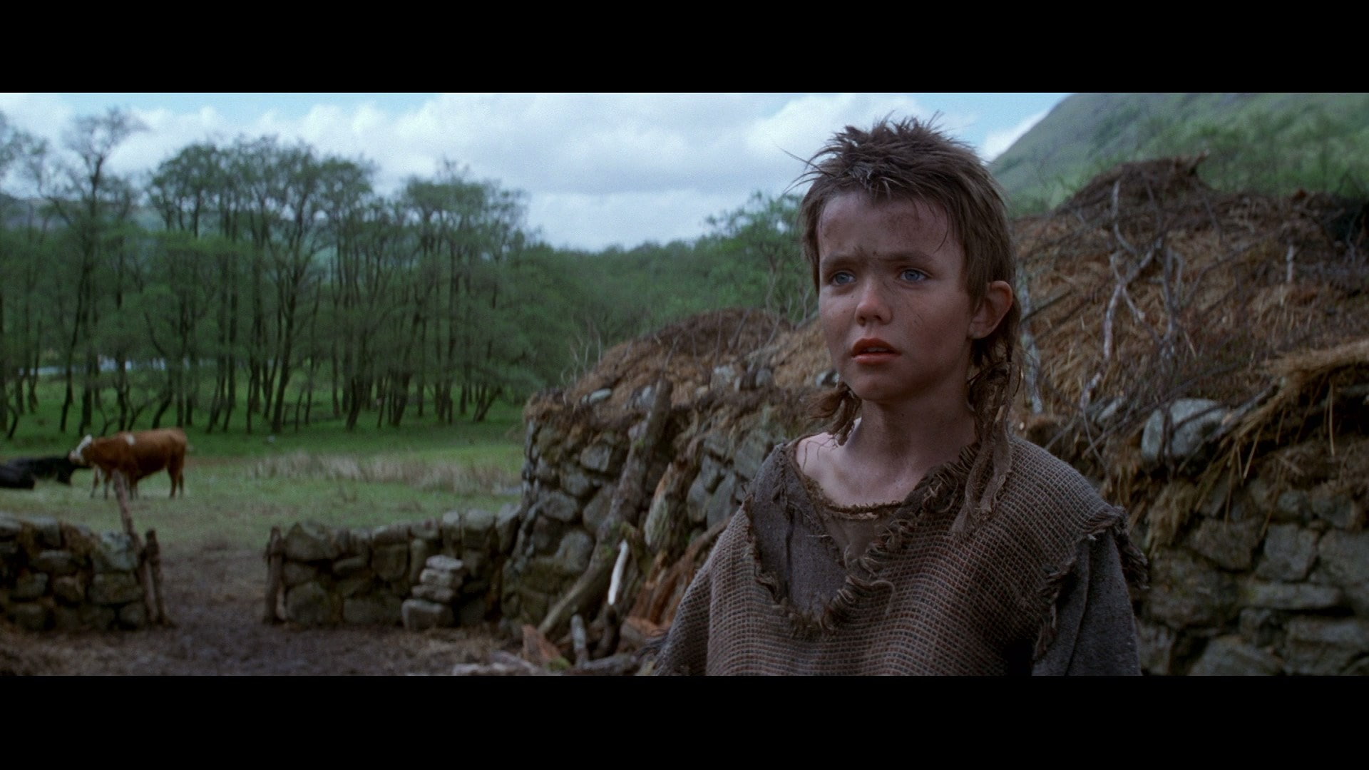 1080P, braveheart, HD Wallpaper
