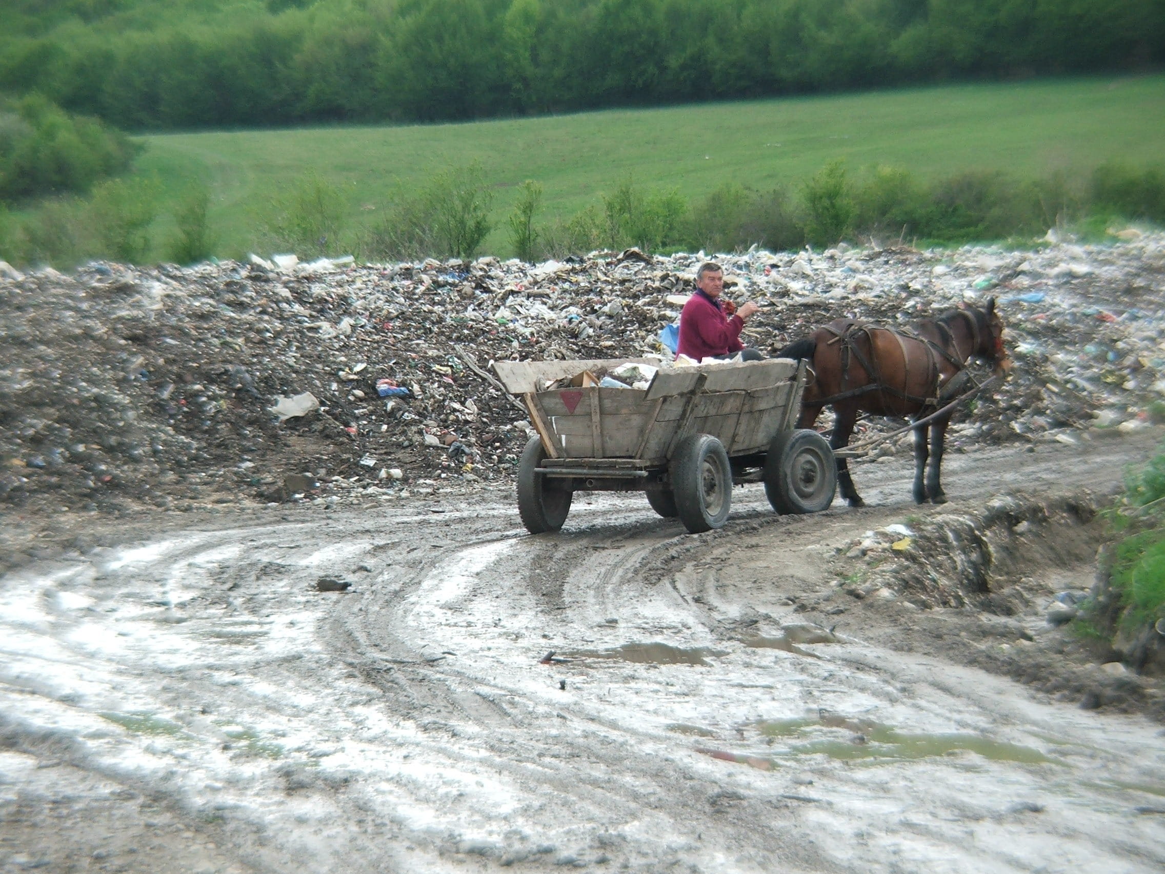 one person, landscape, full length, Horse, real people, nature, wagon, animal wildlife, pets, domestic animals, carriage, occupation, working animal, rural, HD Wallpaper