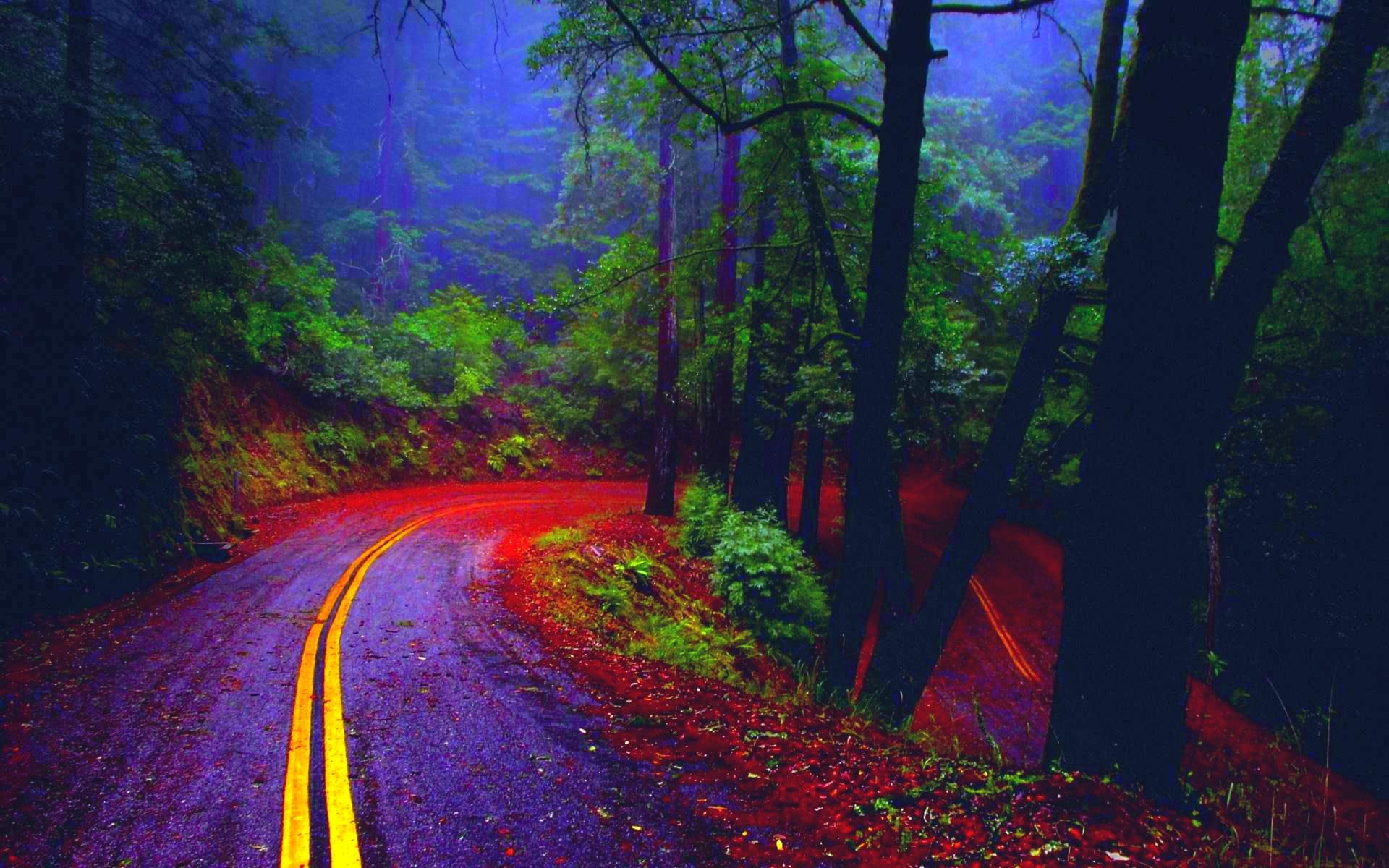 3d and abstract, road, forest, winding, 1080P, rain, HD Wallpaper