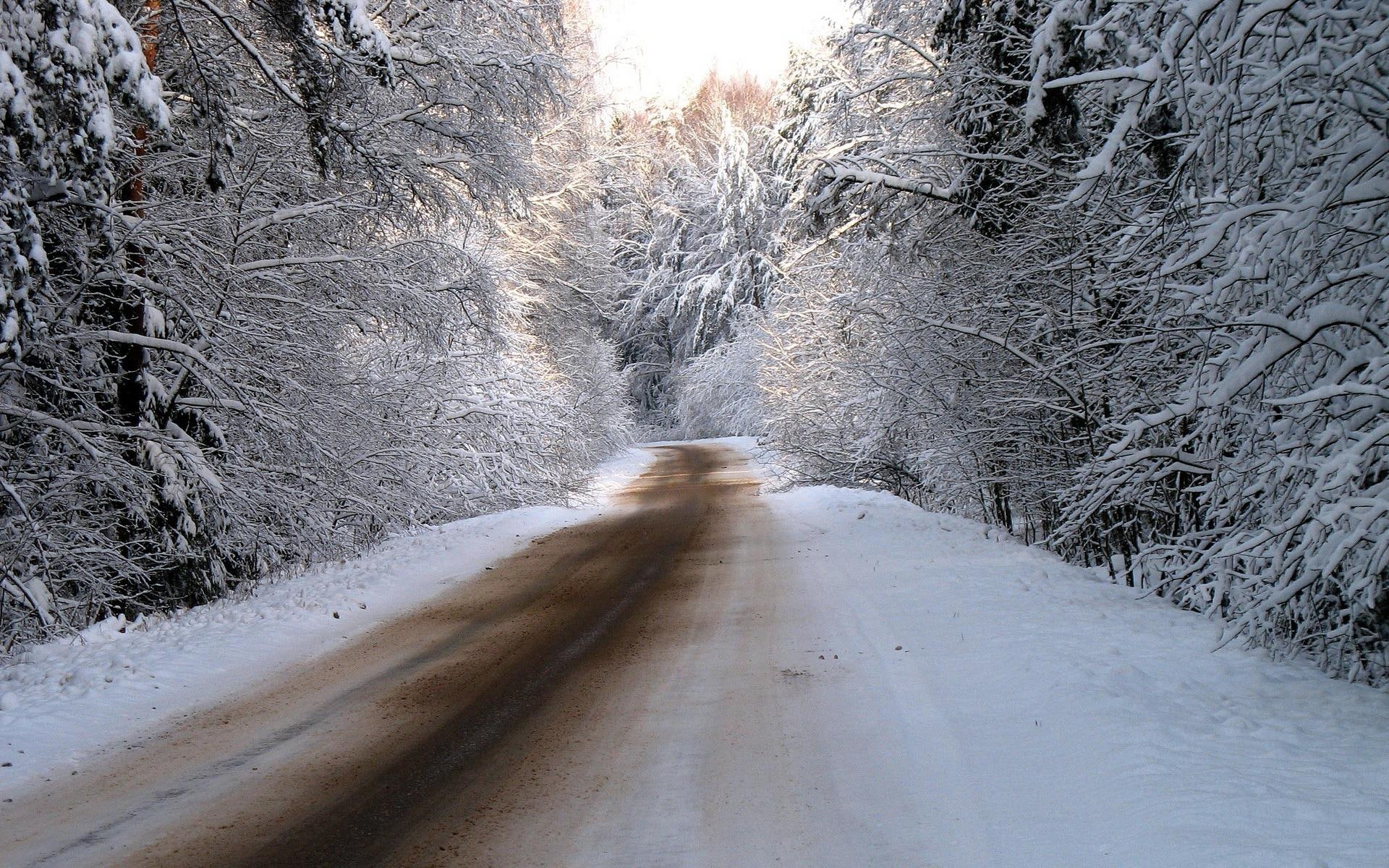 trees, beautiful, capped, landscape, winter, nature, amazing, snow, 1080P, 3d and abstract, road, HD Wallpaper