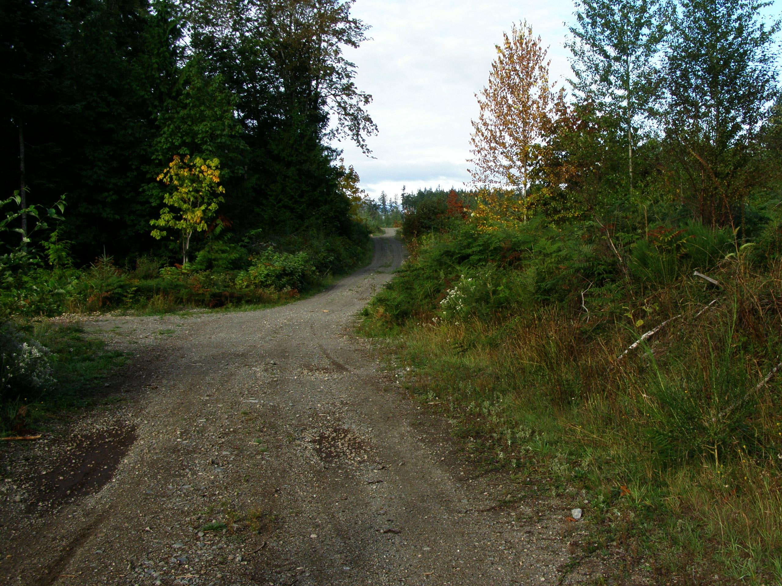 3d and abstract, 2K, logging, hike, summer, morning, road, HD Wallpaper