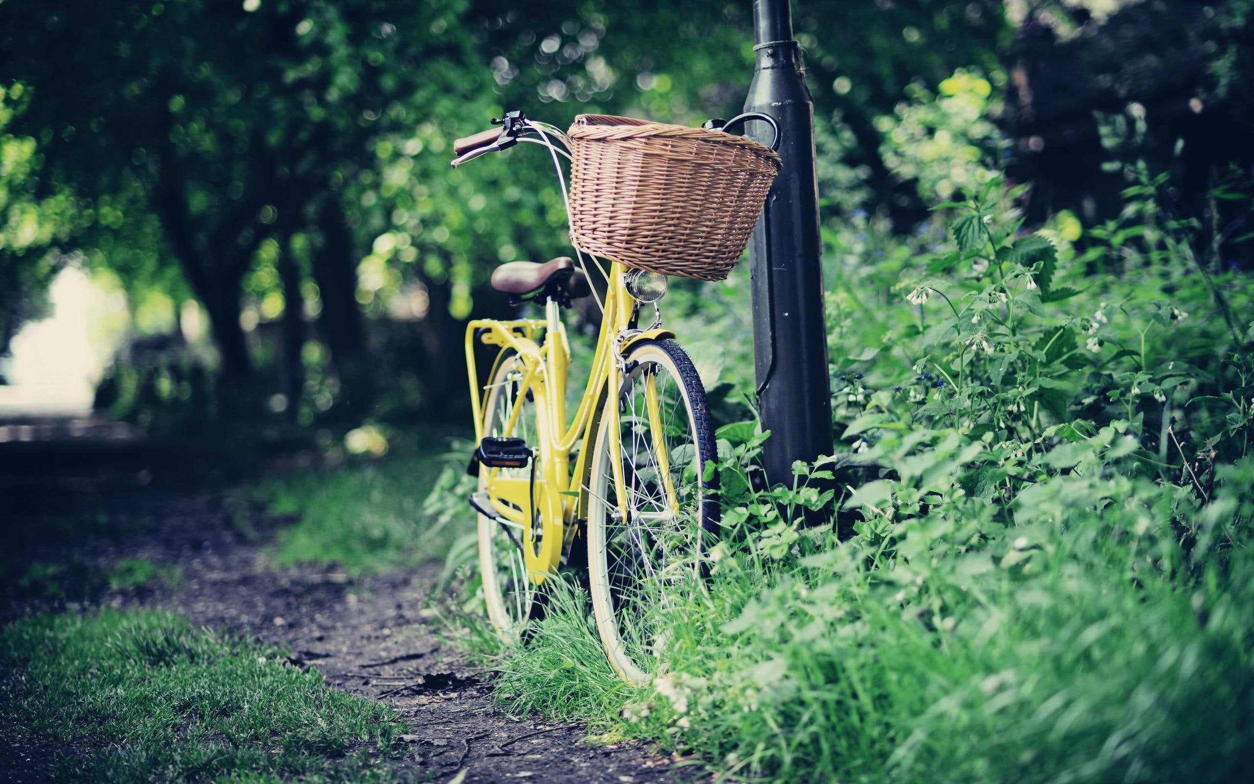 green, 2K, grass, road, ride, bike, 3d and abstract, basket, HD Wallpaper