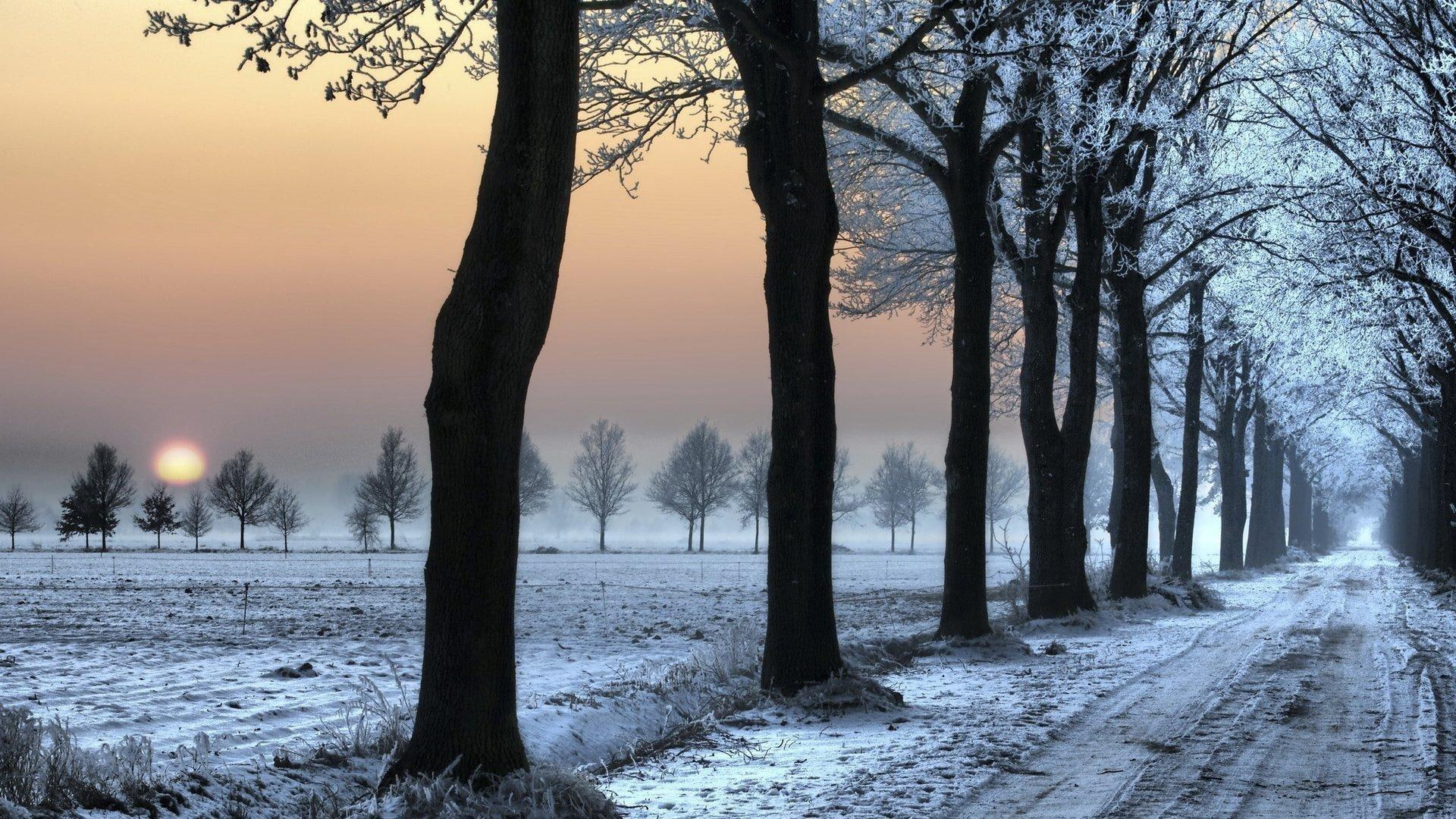 snow, covered, road, landscape, trees, 1080P, cloud, lscape, 3d and abstract, tree, path, HD Wallpaper