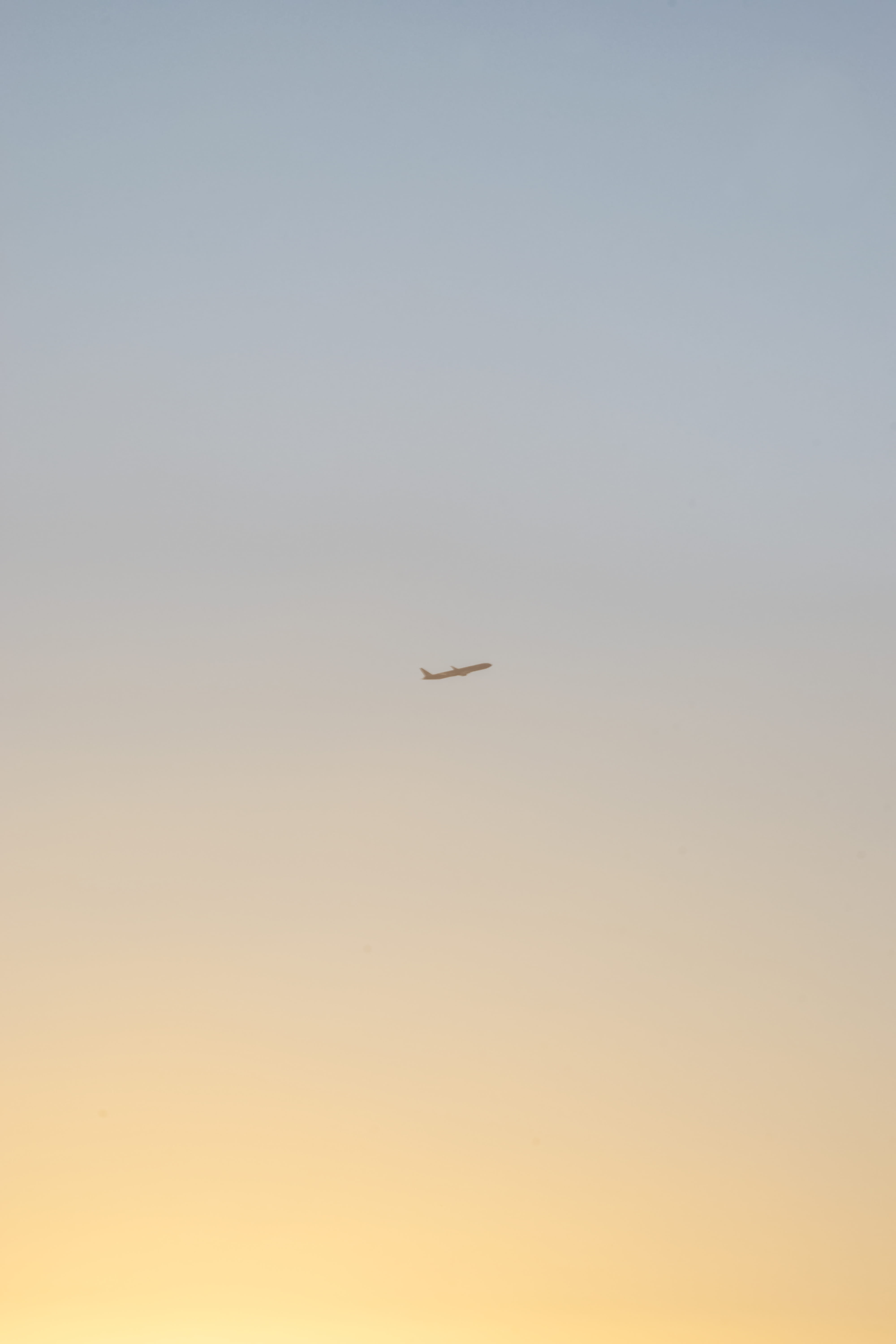 mid-air, sky, scenics - nature, animal themes, sunset, colour, no people, one animal, clear sky, nature, wonderful, vertebrate, outdoors, animal wildlife, Phone HD Wallpaper
