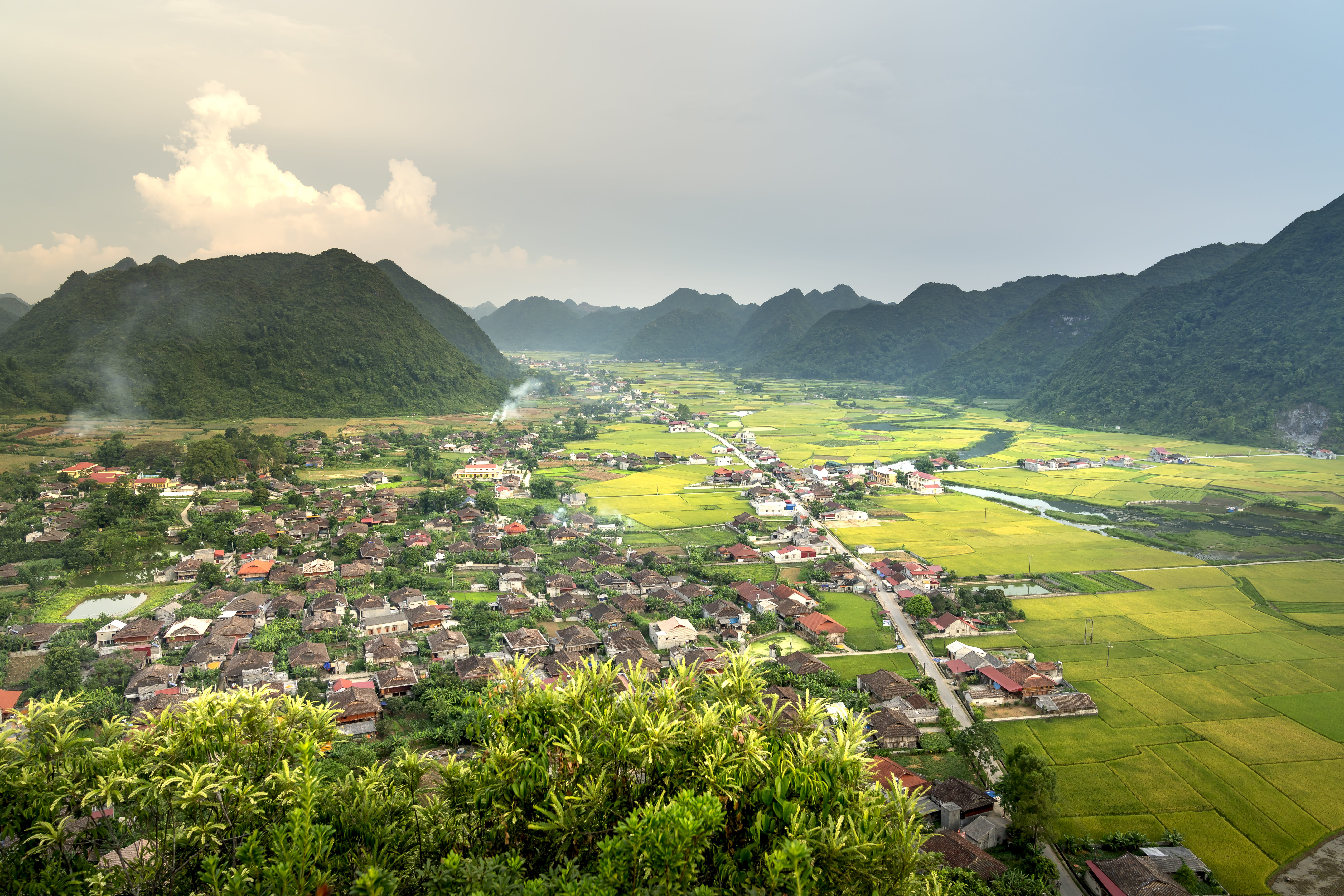 tranquility, curve, land, environment, vietnam, the valley, growth, planting, asia, the countryside, mountain, silk, tranquil scene, non-urban scene, tree, HD Wallpaper