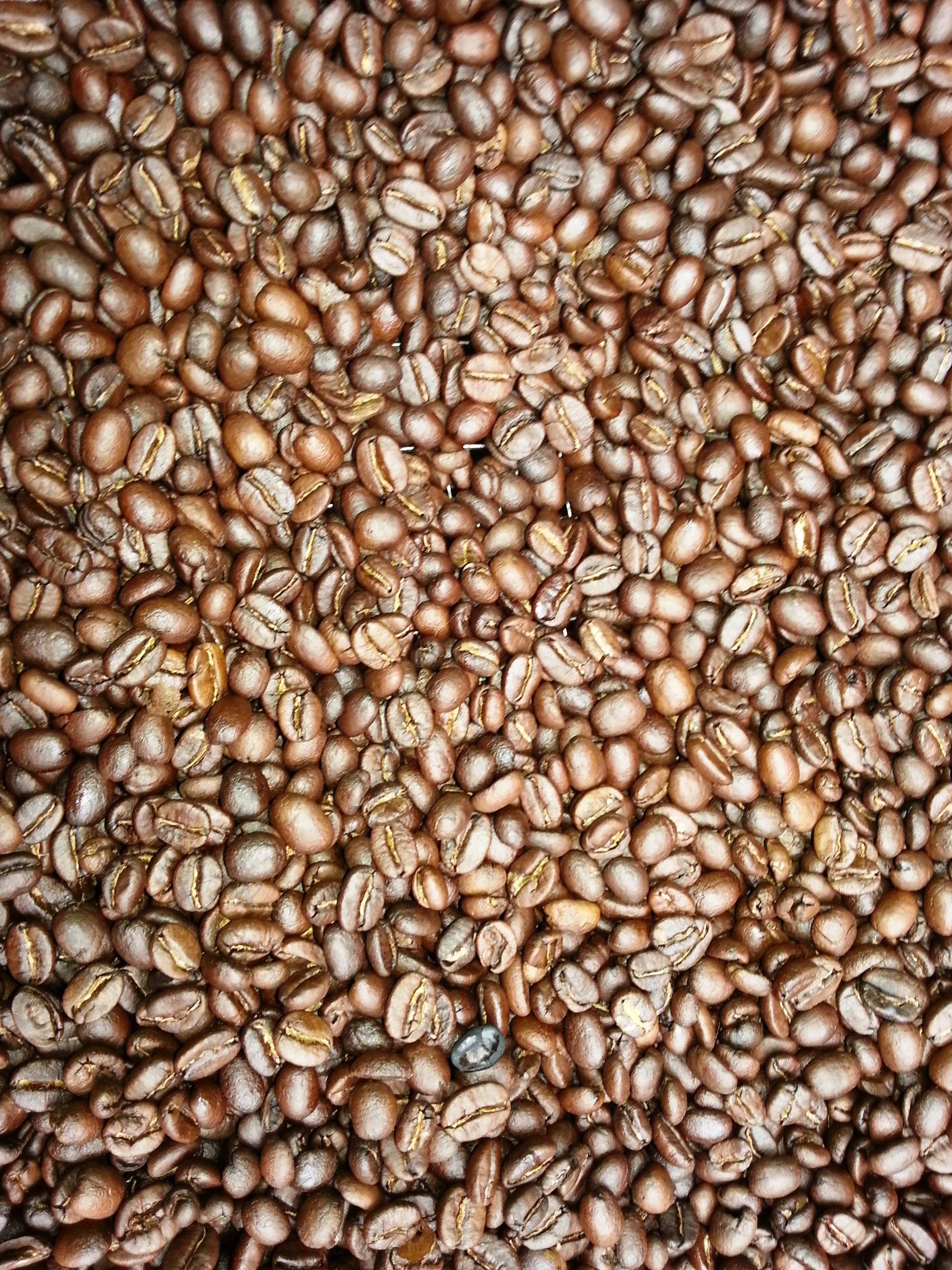 food and drink, abundance, still life, beans, no people, coffee, heap, full frame, organic, indoors, coffee - drink, healthy eating, coffee beans, 2K, Phone HD Wallpaper