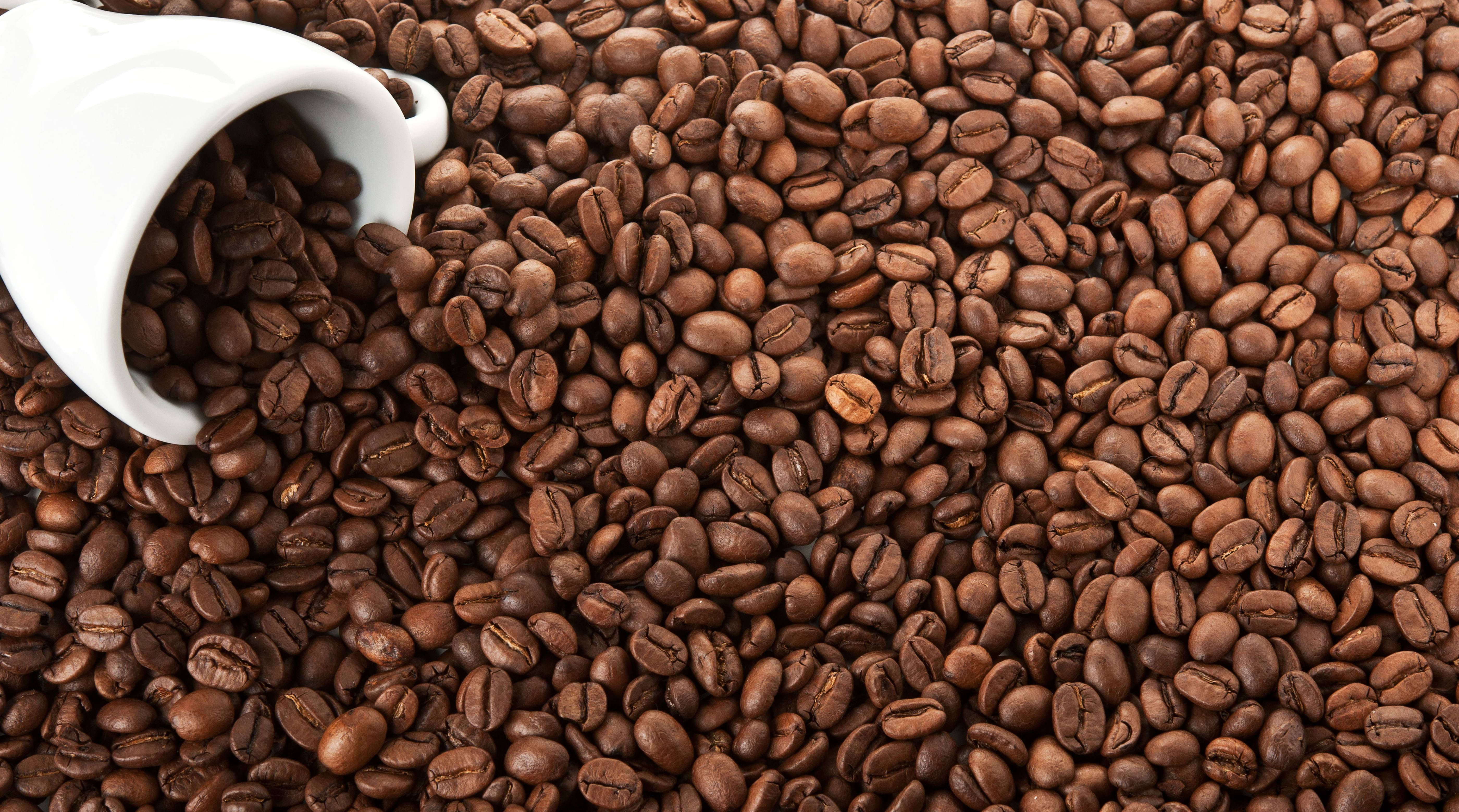 dark, grain, bean, coffee Bean, coffee Crop, white, espresso, Cup, coffee Cup, black Color, mocha, nut - food, coffee - Drink, indoors, food, seed, textured, HD Wallpaper