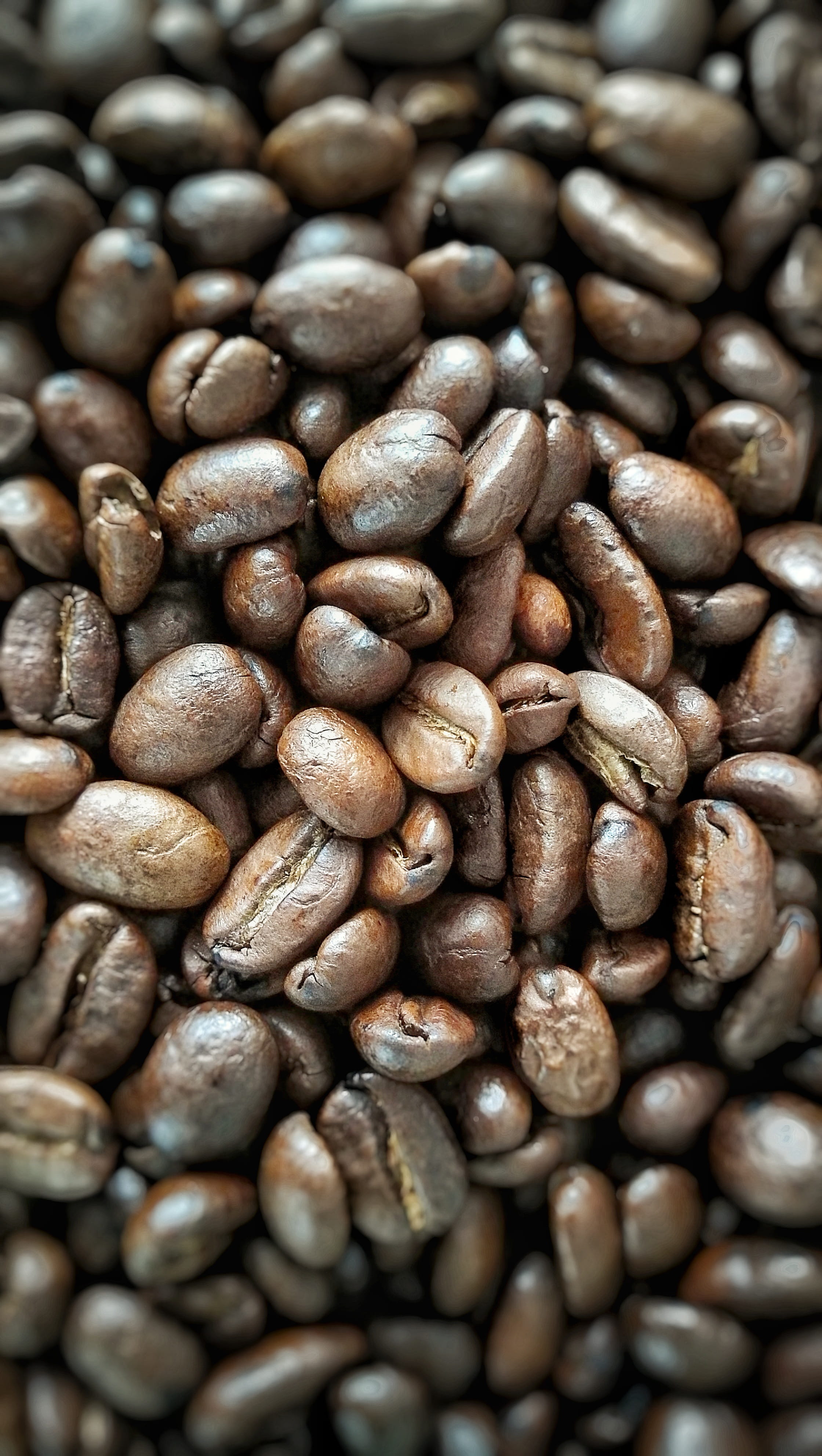 coffee, mill, brown, food, large group of objects, drink, roasted coffee bean, temptation, stimulant, dry, abundance, backgrounds, indoors, coffee grounds, Phone HD Wallpaper