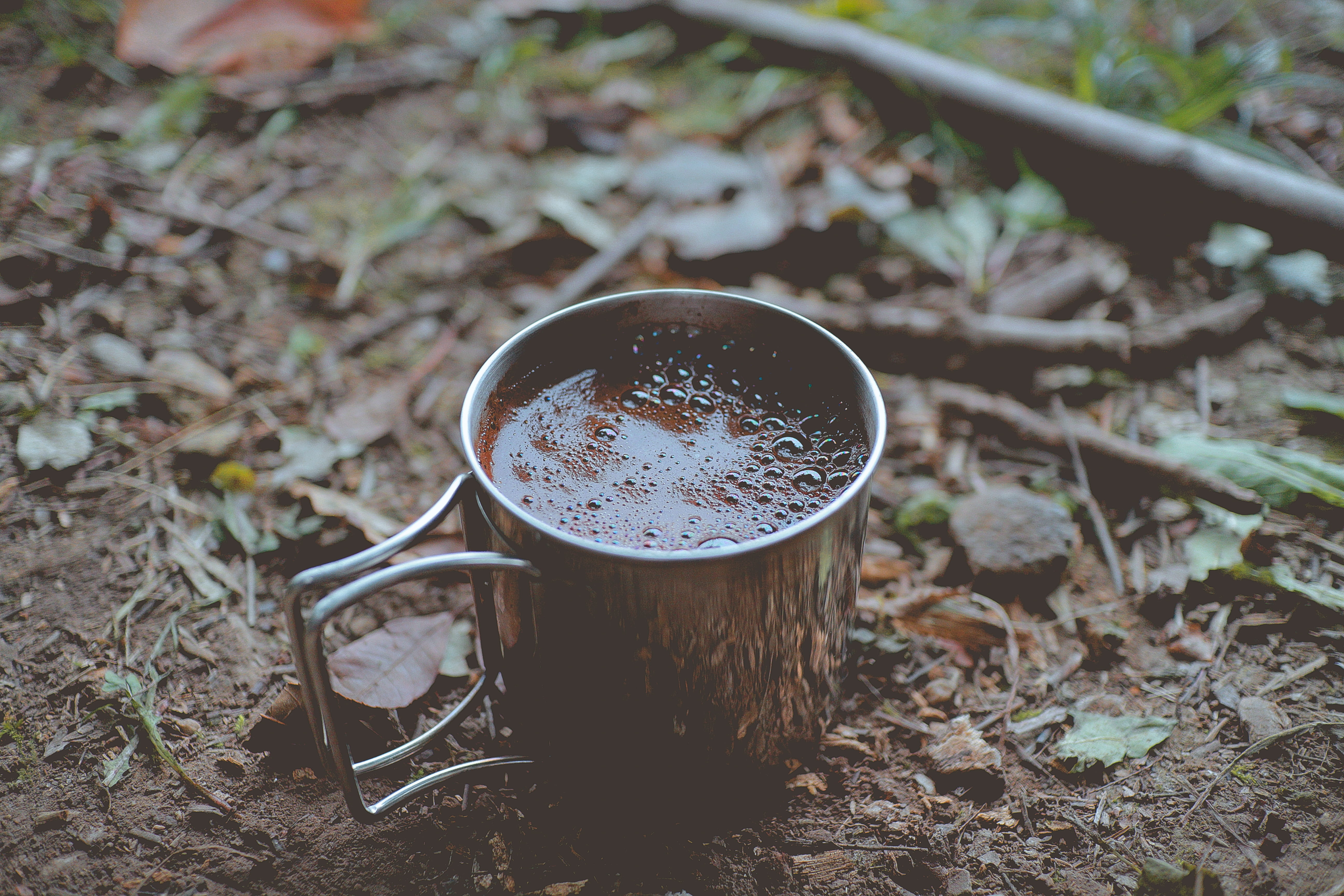 woodland, mug, plant part, ground, cup, close-up, leaf, hot, hot chocolate, coffee, filled, morning, high angle view, freshness, refreshment, drink, tent, HD Wallpaper