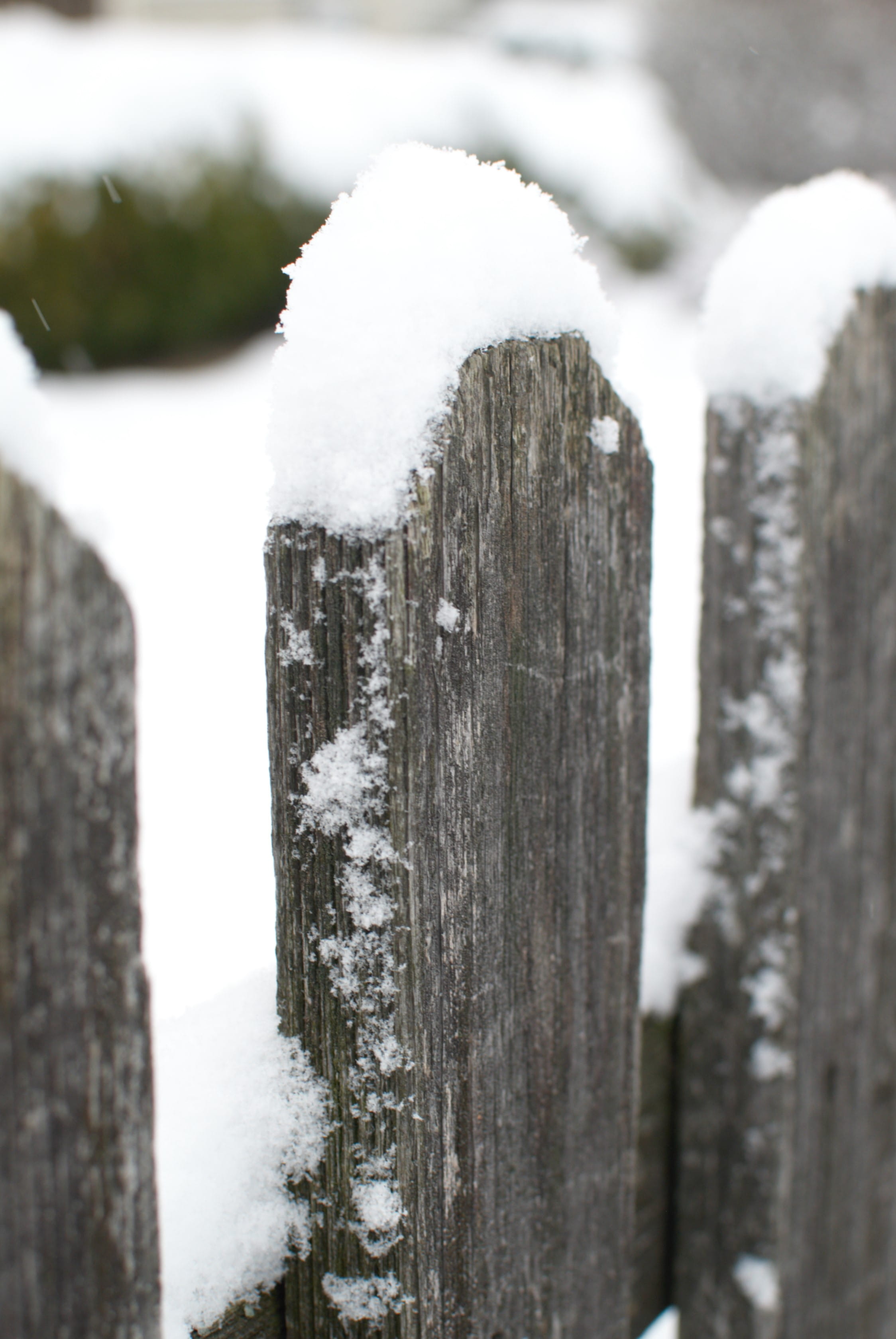 no people, outdoors, nature, extreme weather, ice, perfect, winter, day, barrier, fence, frozen, cold temperature, cold, wood, boundary, focus on foreground, Phone HD Wallpaper