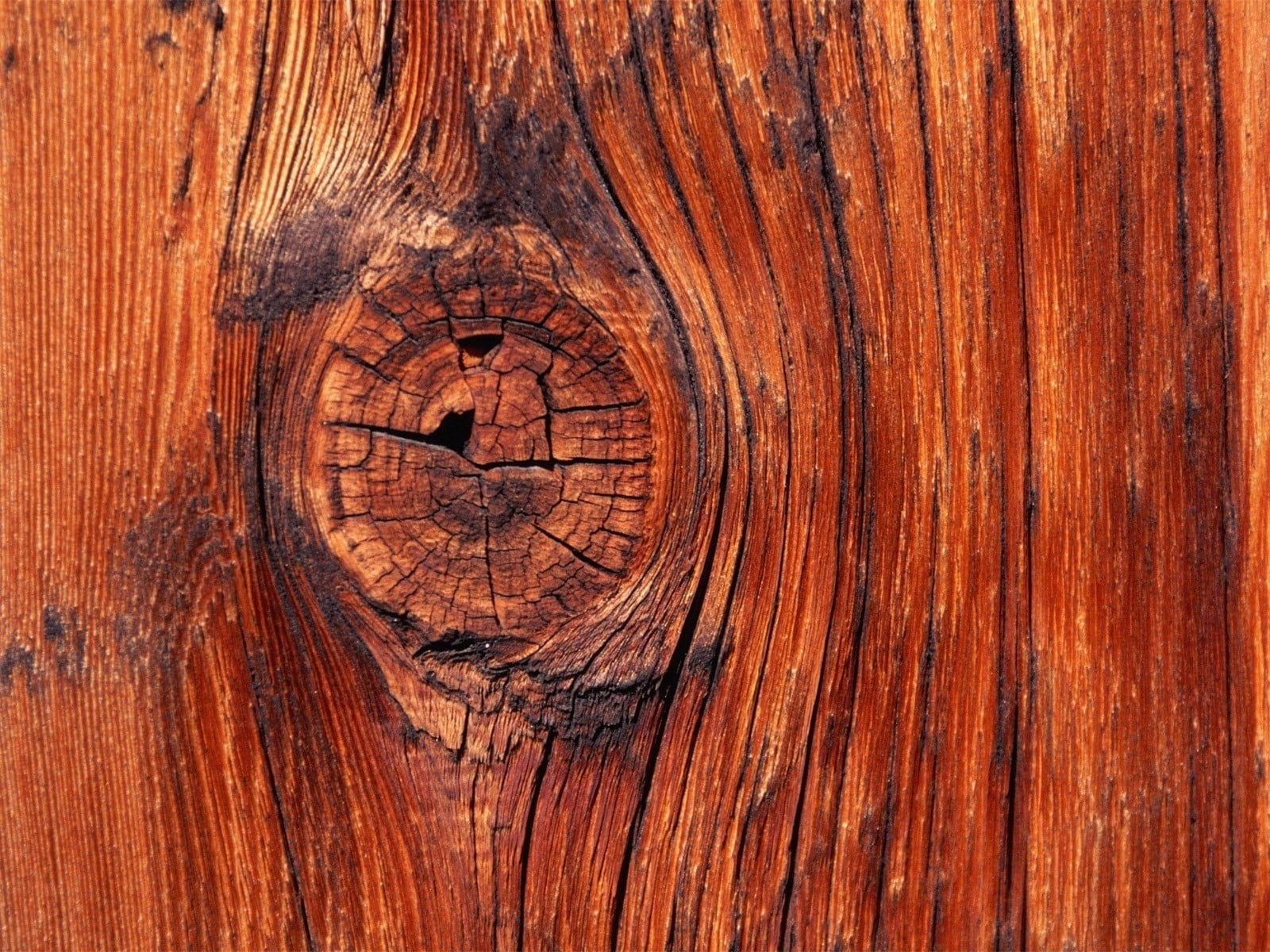 outdoors, no people, pattern, natural pattern, wood, Brown, wood grain, textured, Trunk, nature, backgrounds, full frame, knotted wood, Imperfections, old, HD Wallpaper