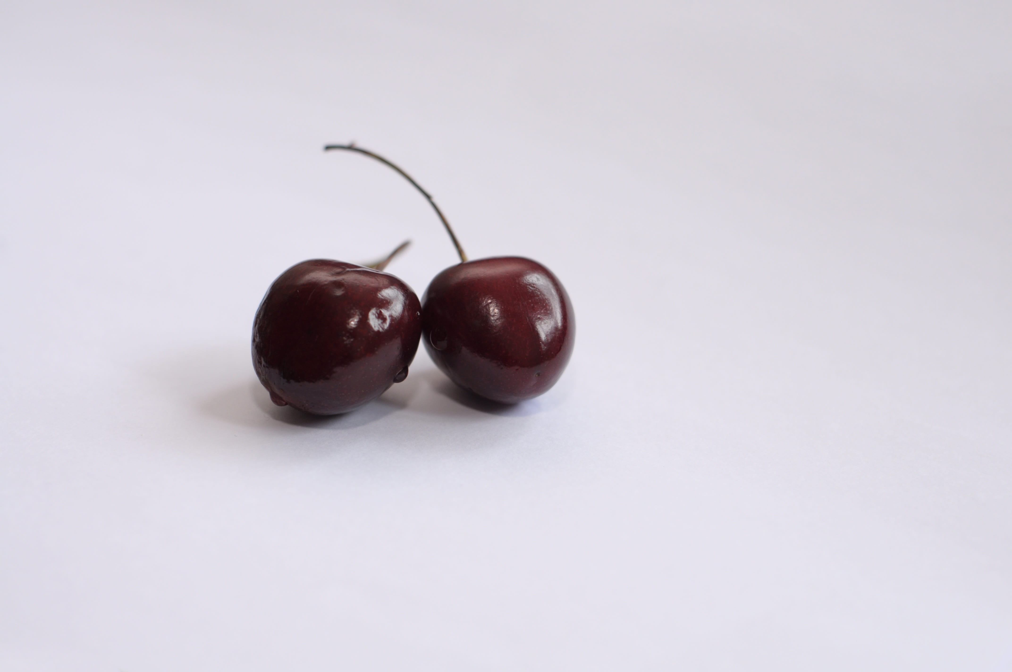 snack, food, studio shot, white background, close-up, copy space, organic, cherry, ripe, wellbeing, no people, healthy lifestyle, temptation, fruit, still life, HD Wallpaper