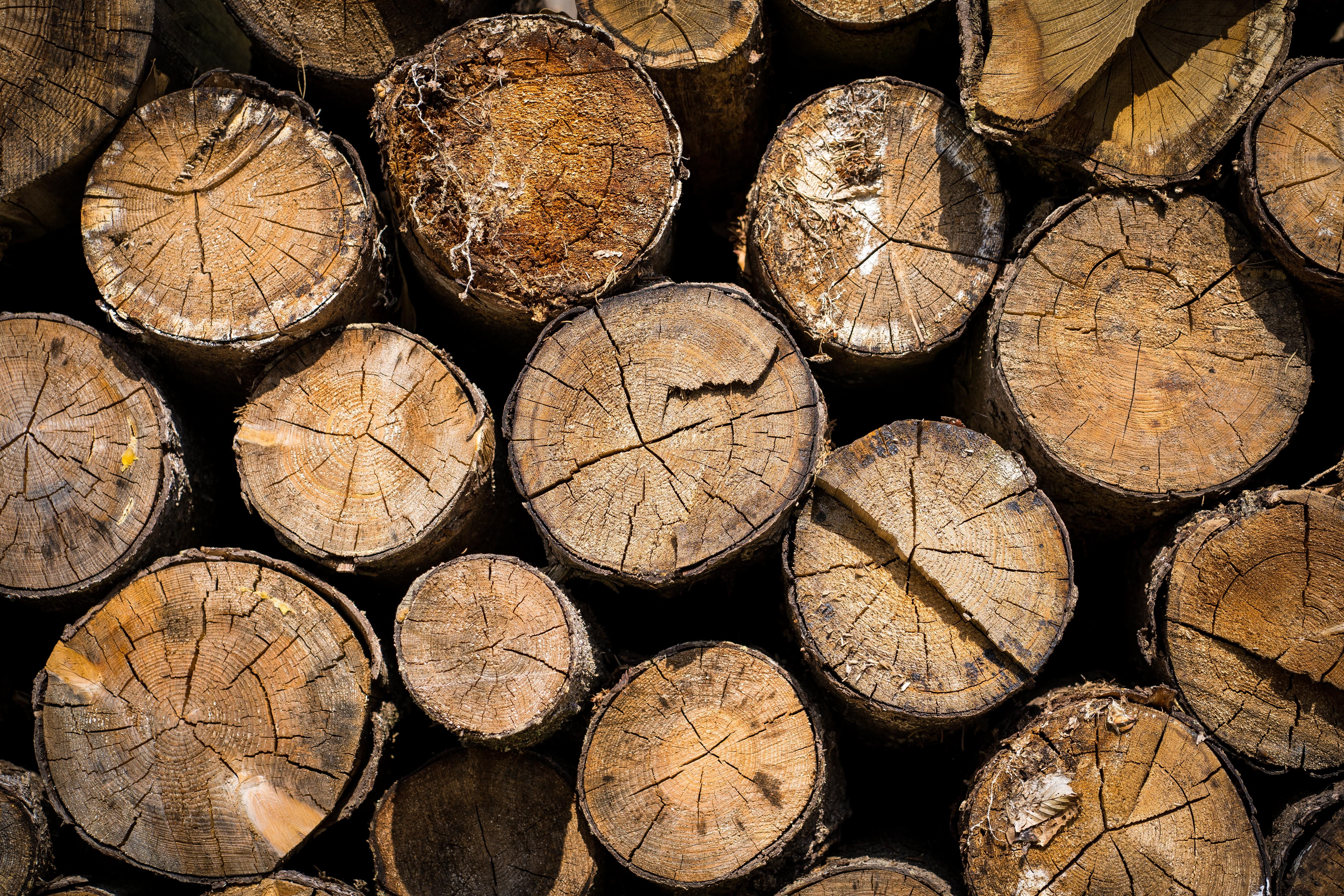 wood - material, no people, pattern, stack, large group of objects, woodpile, environmental issues, structure, pile of wood, stacked up, holzstapel, background, HD Wallpaper