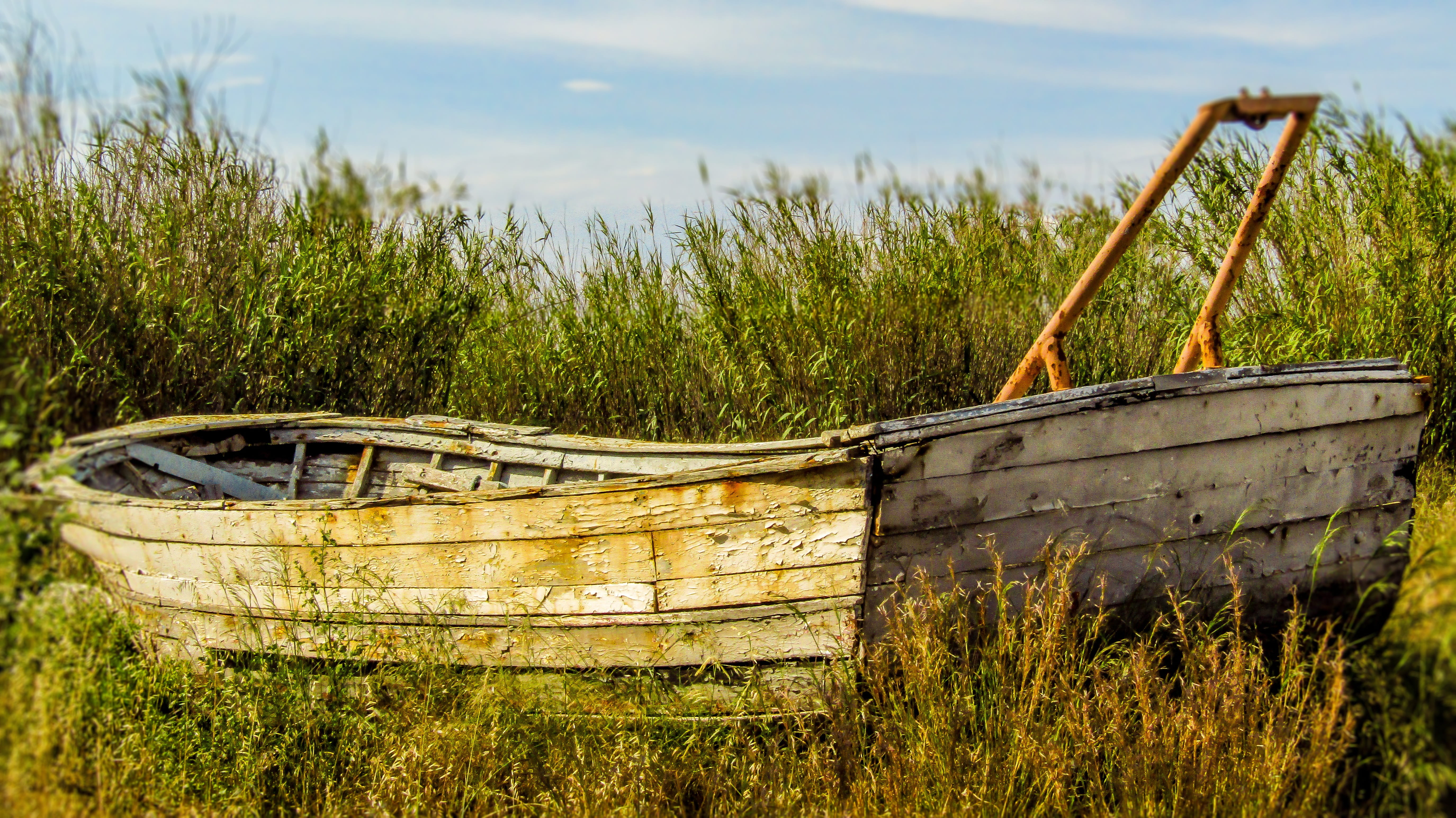 plant, water, boat, barca, wood, abandoned, land, beach, field, landscape, wood - material, rusty, obsolete, navigation, no people, sky, growth, grass, HD Wallpaper