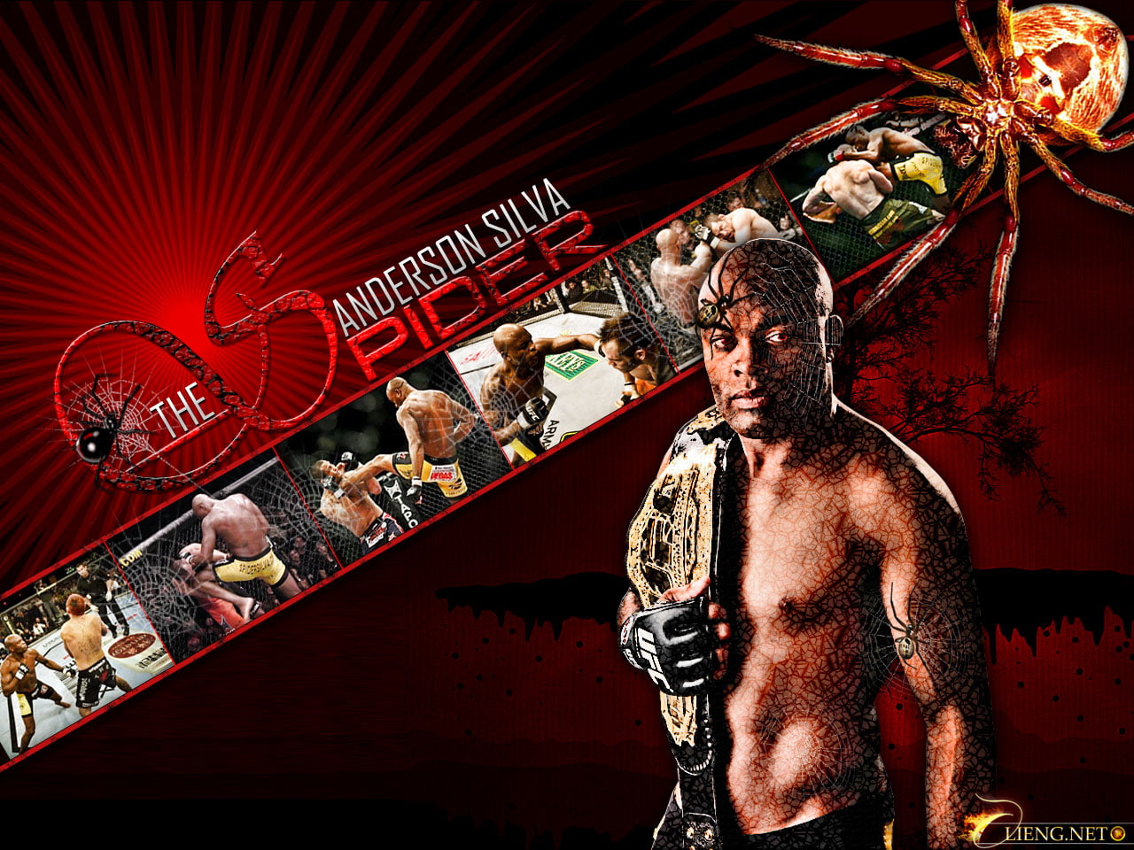 720P, hd, anderson, mma, photo, spider, silva, sports, HD Wallpaper