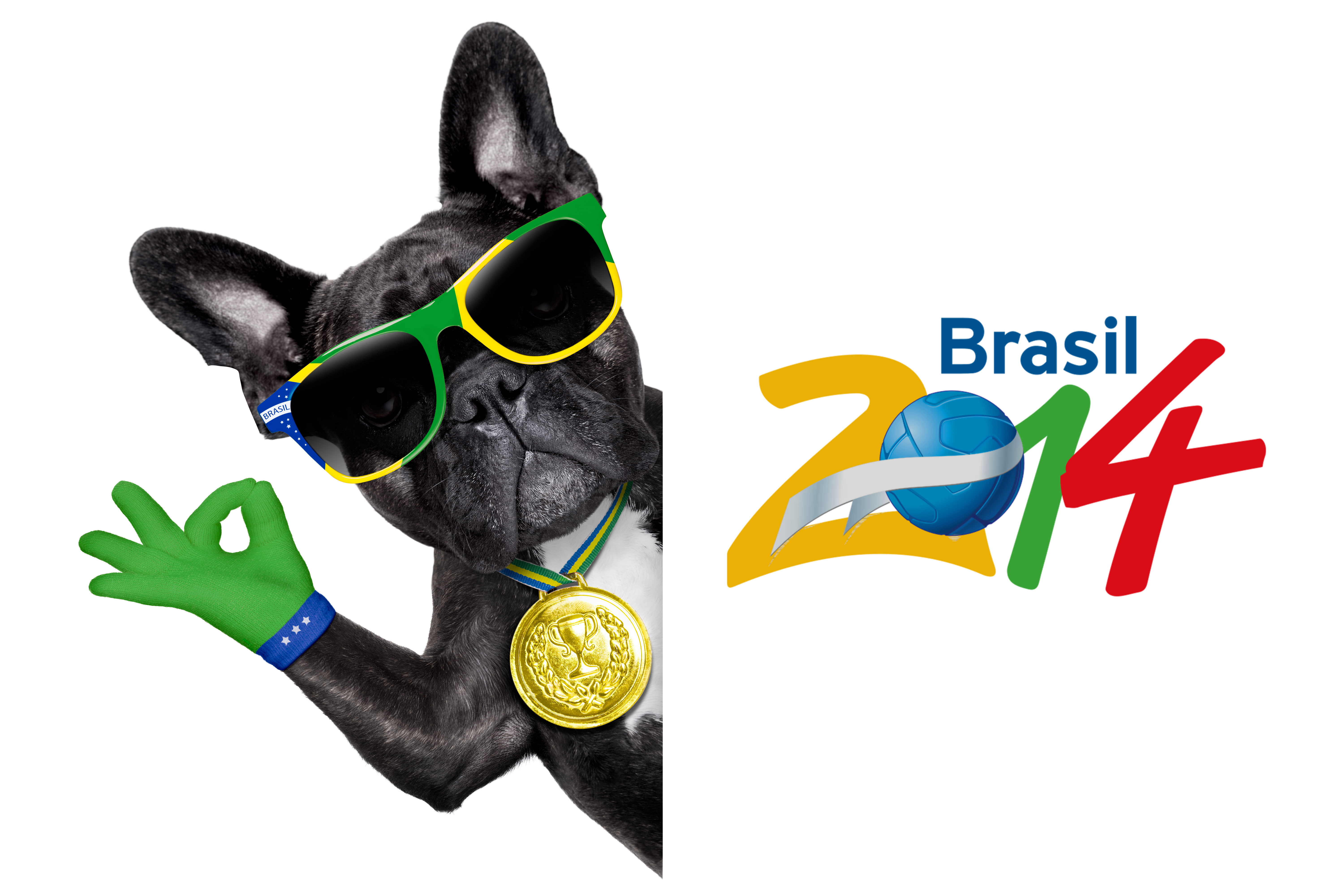 logo, Brasil, 2014, football, flag, dog, cool, 5K, World Cup, funny, FIFA, HD Wallpaper