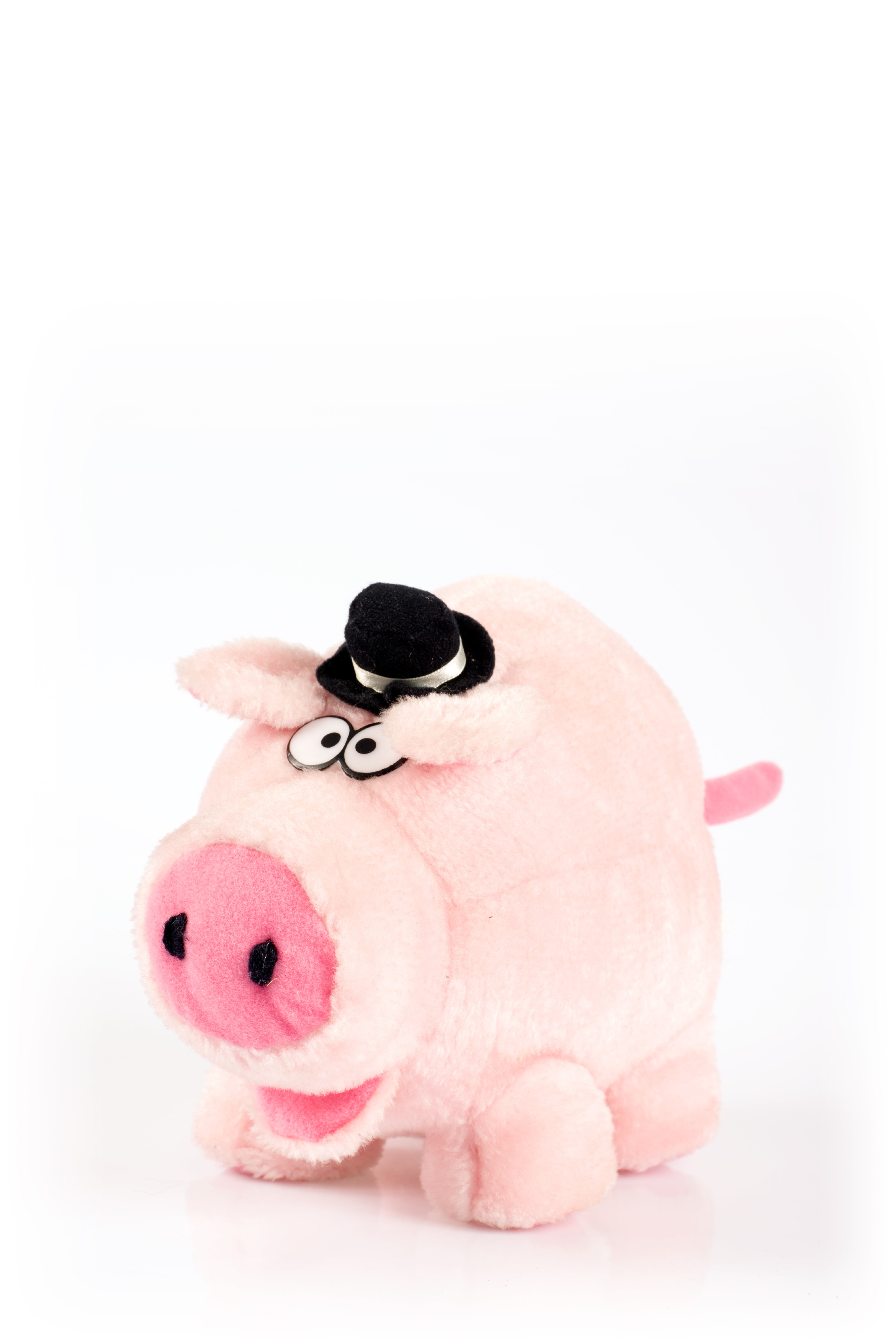animal, close-up, 5K, toy, indoors, mammal, banking, piggy Bank, finance, cut out, savings, copy space, pig, hat, coin Bank, single object, animal themes, Phone HD Wallpaper