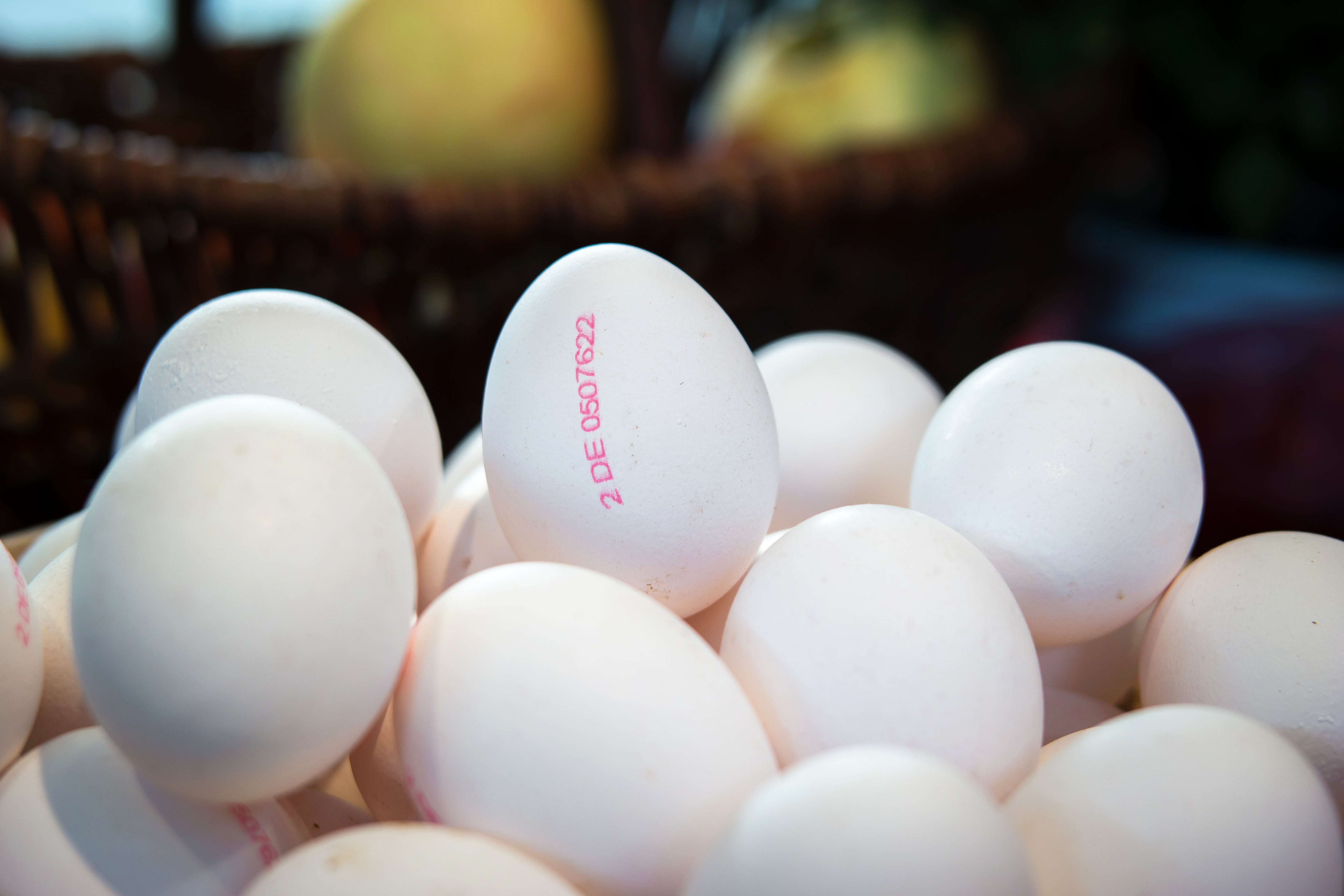no people, market, in a row, bundle, harvest, abundance, vulnerability, chicken eggs, thanksgiving, healthy eating, food, group of objects, white color, HD Wallpaper