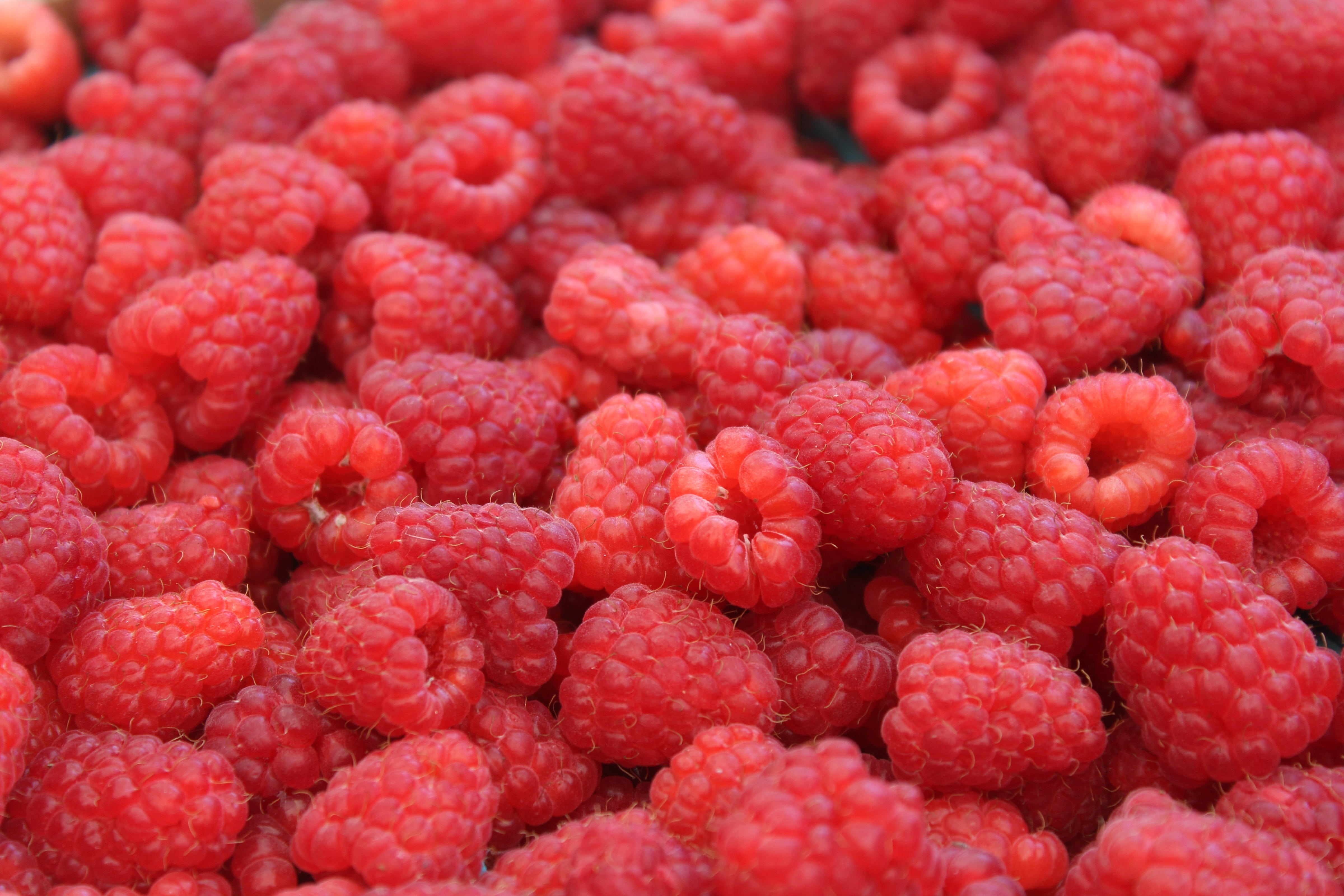 berry fruit, raw, healthy eating, freshness, backgrounds, large group of objects, strawberry, for sale, ingredient, no people, diet, lychee, red, market, HD Wallpaper