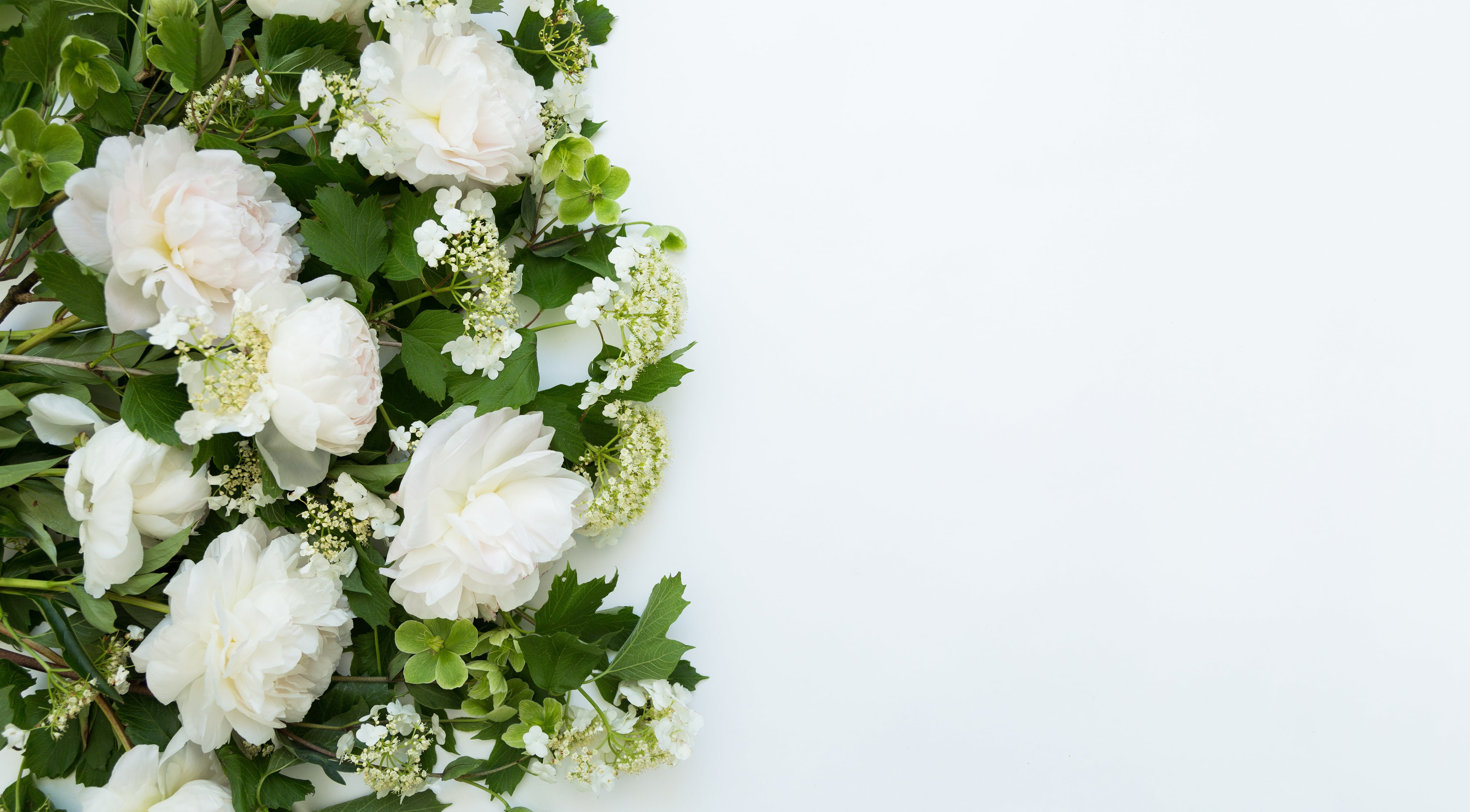 Flowers, 4K, frame, bundle, bouquet, background, HD Wallpaper
