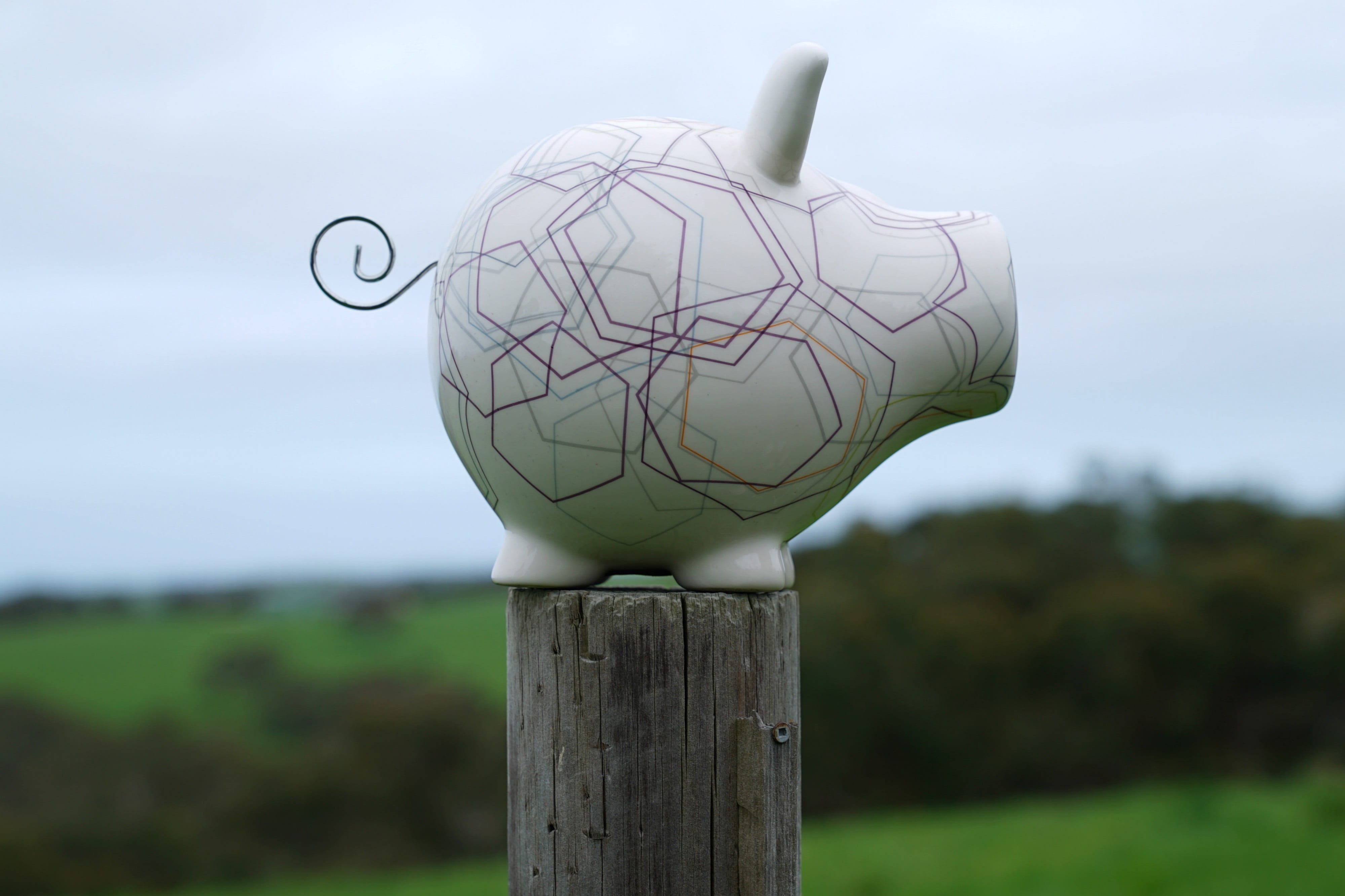 cash, nature, piggy bank, environment, savings, close-up, land, wood - material, symbol, animal representation, focus on foreground, no people, cloud - sky, HD Wallpaper
