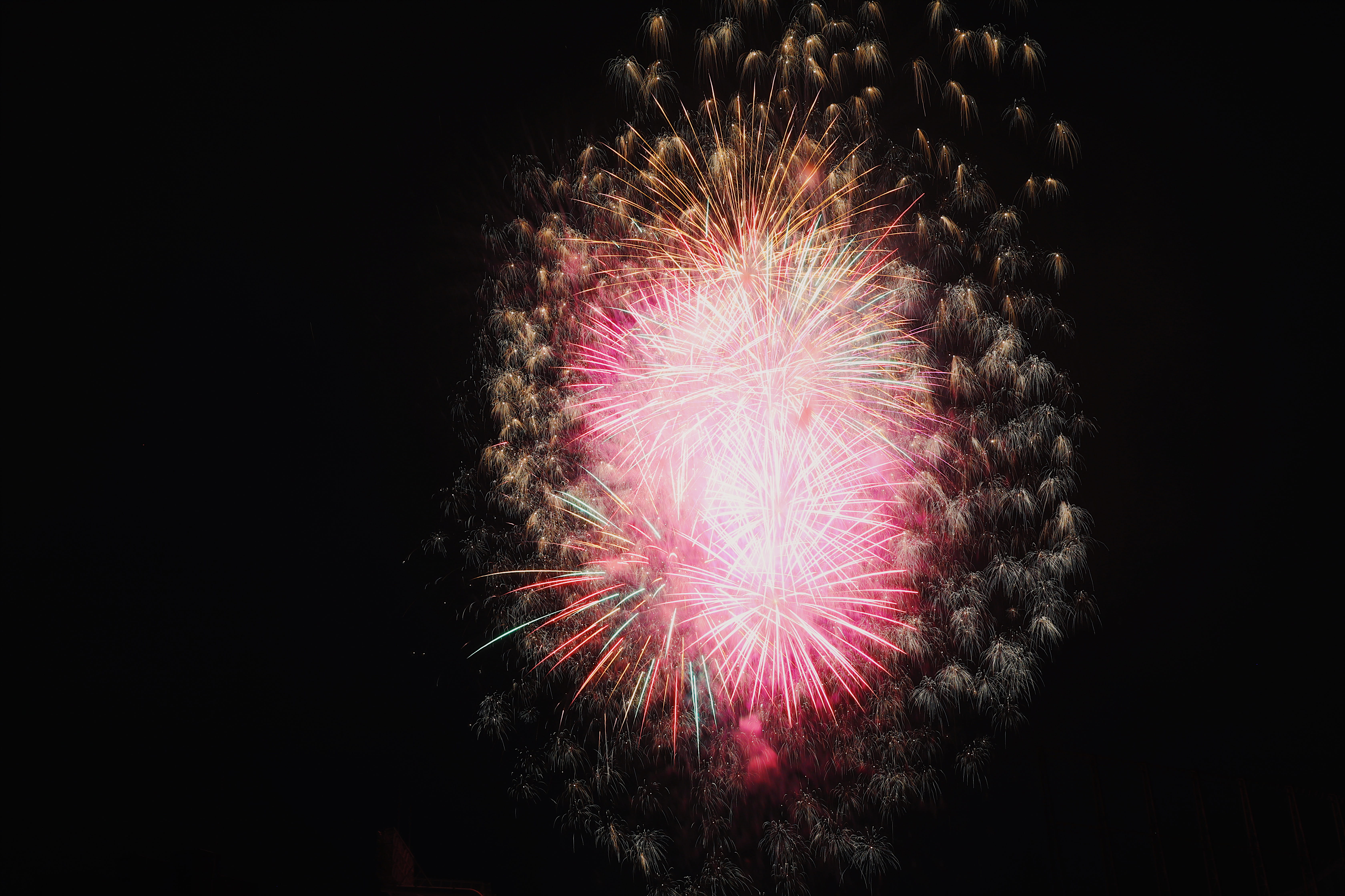 nature, hanabi, night, tokyo, firework, excitement, light, firework - man made object, low angle view, display, dark, motion, fireworks, outdoors, pink color, HD Wallpaper