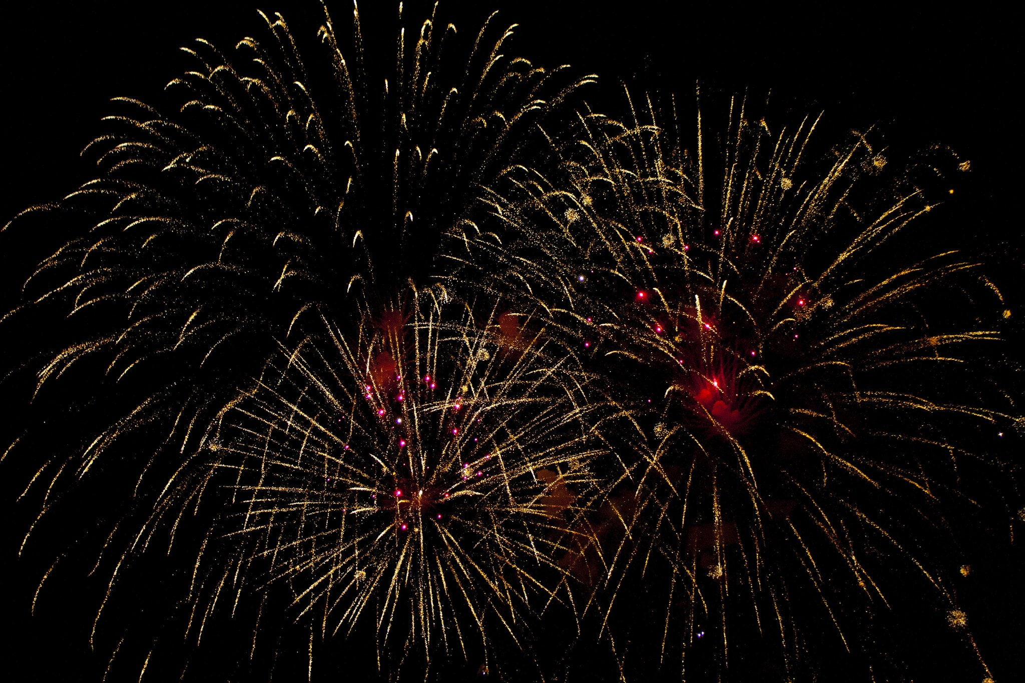 feu, 1080P, sky, d 039 artifice, night, fireworks, light, HD Wallpaper