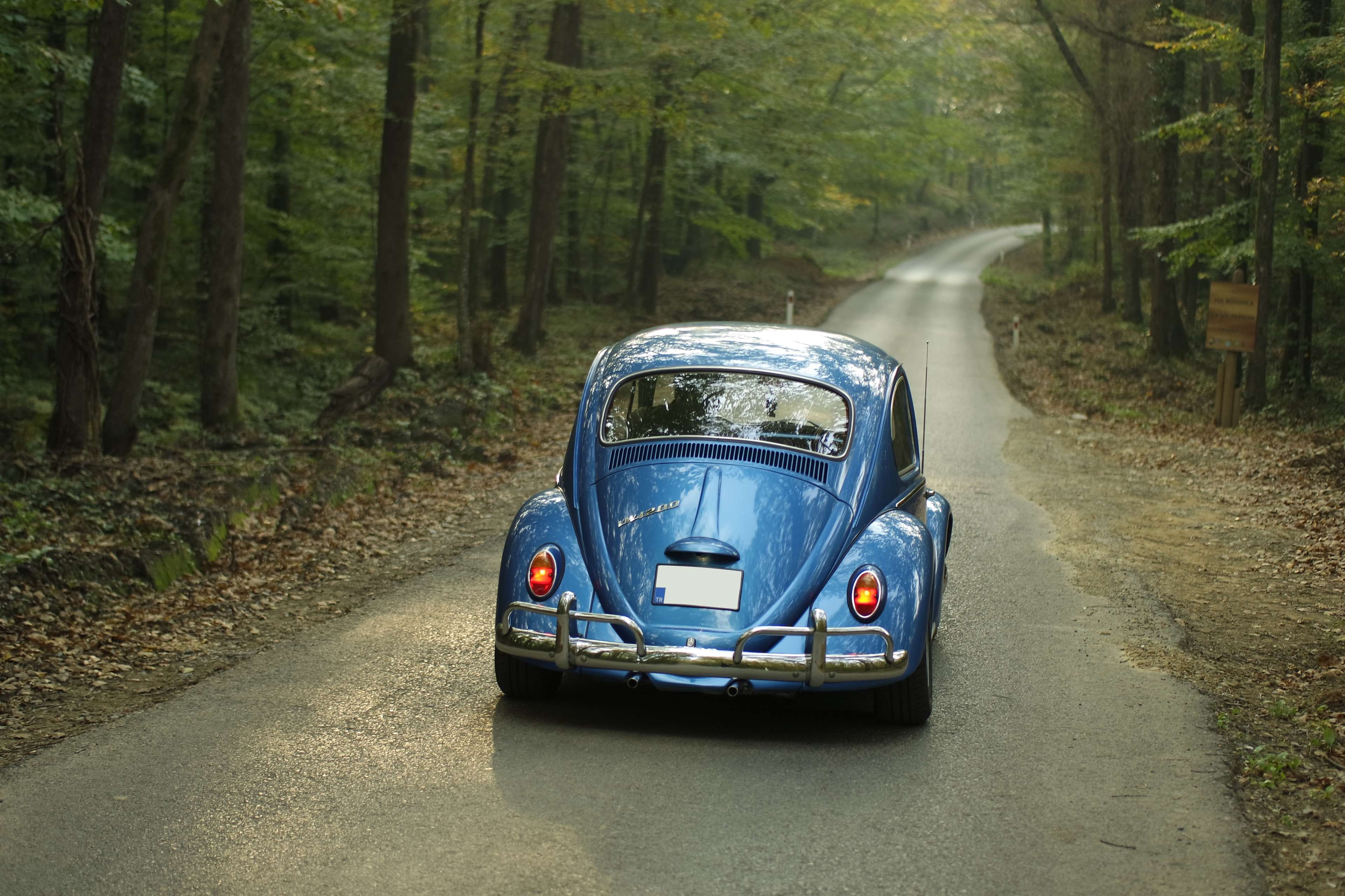 nature, trees, land, trunk, woodland, day, vehicle, road trip, volkswagen, forest, tree, 4K, travel, outdoors, mode of transportation, transportation, HD Wallpaper