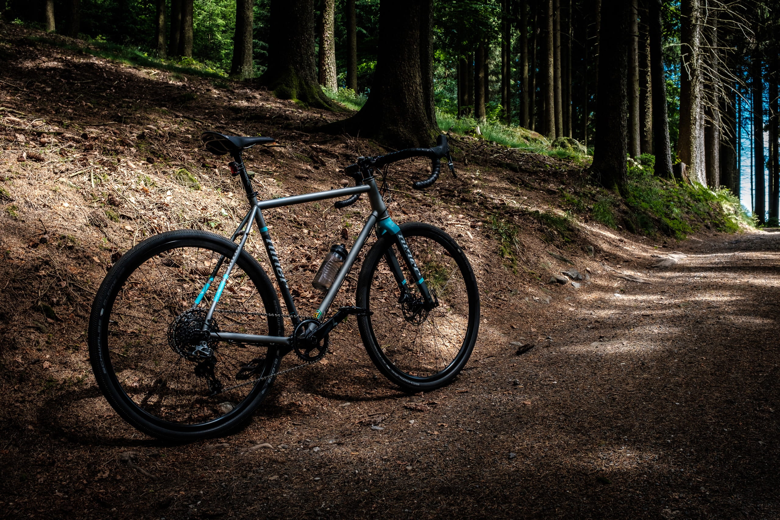 steel, outdoors, road, land vehicle, growth, forest, no people, transportation, sunlight, land, absence, tree, austria, 2K, davidhellmann, bike, niner, HD Wallpaper