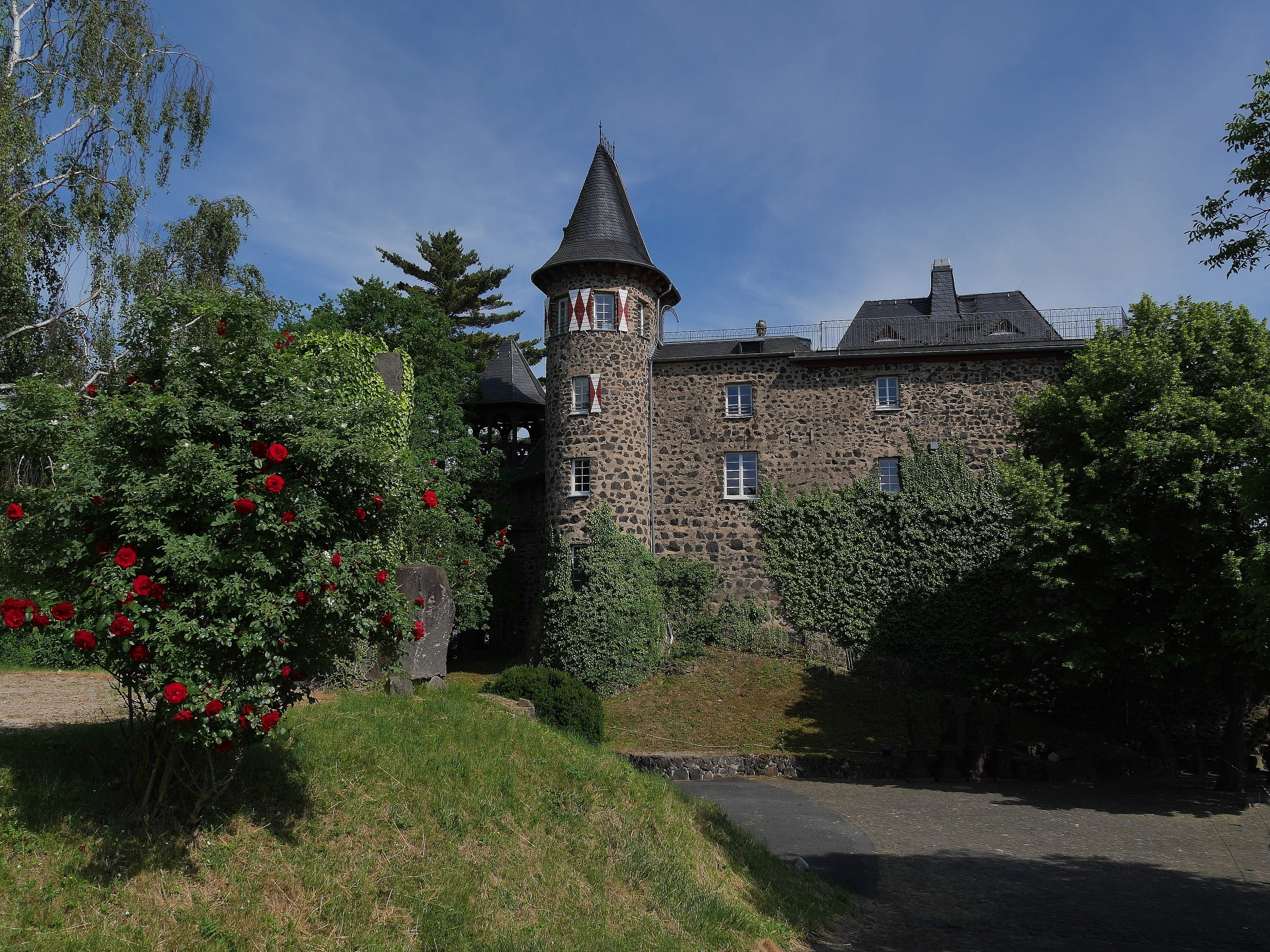 remagen, built structure, grass, linz, architecture, green color, 2K, building exterior, the past, flowering plant, siebengebirge, sunlight, ockenfels, HD Wallpaper
