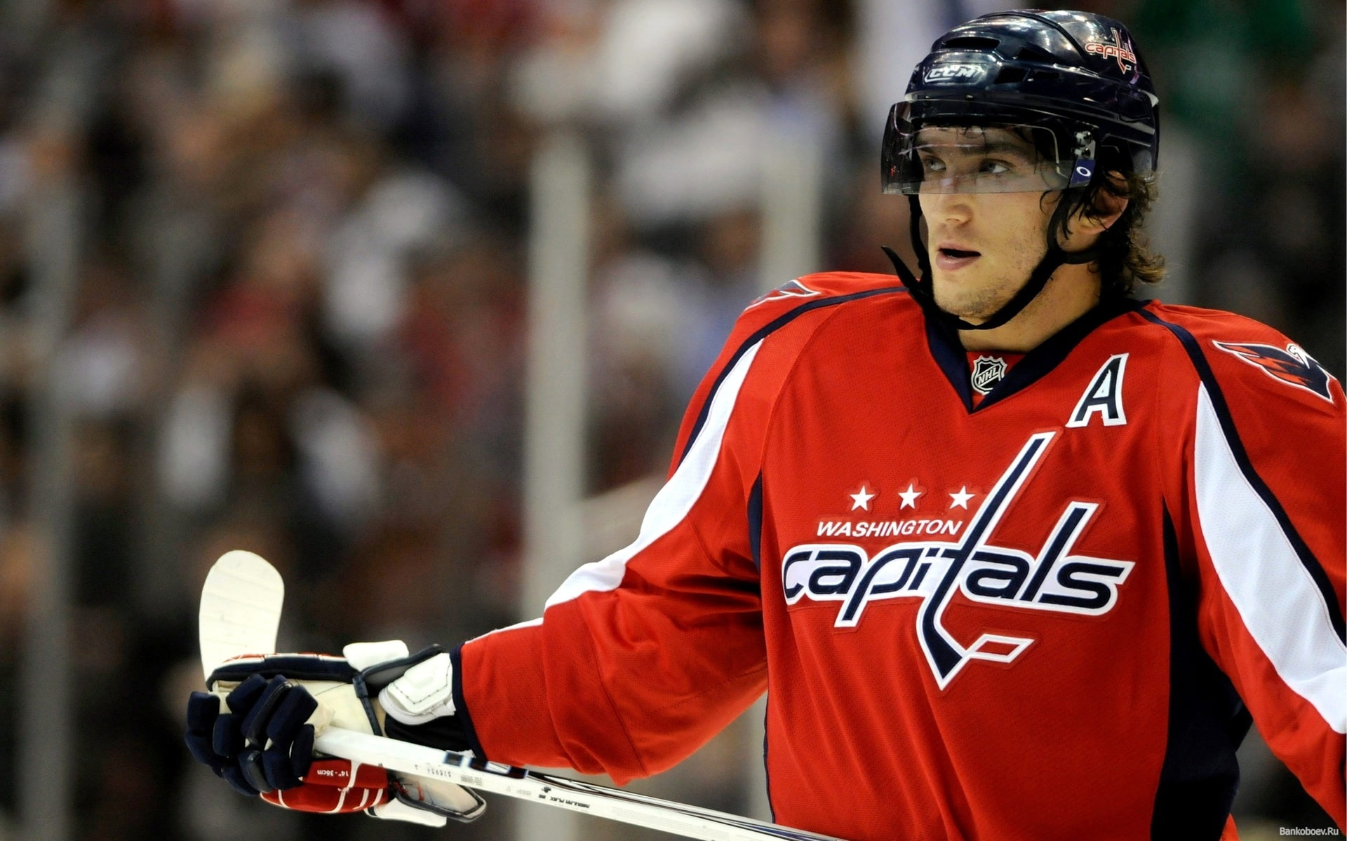 hockey, sports, 1080P, hd, HD Wallpaper