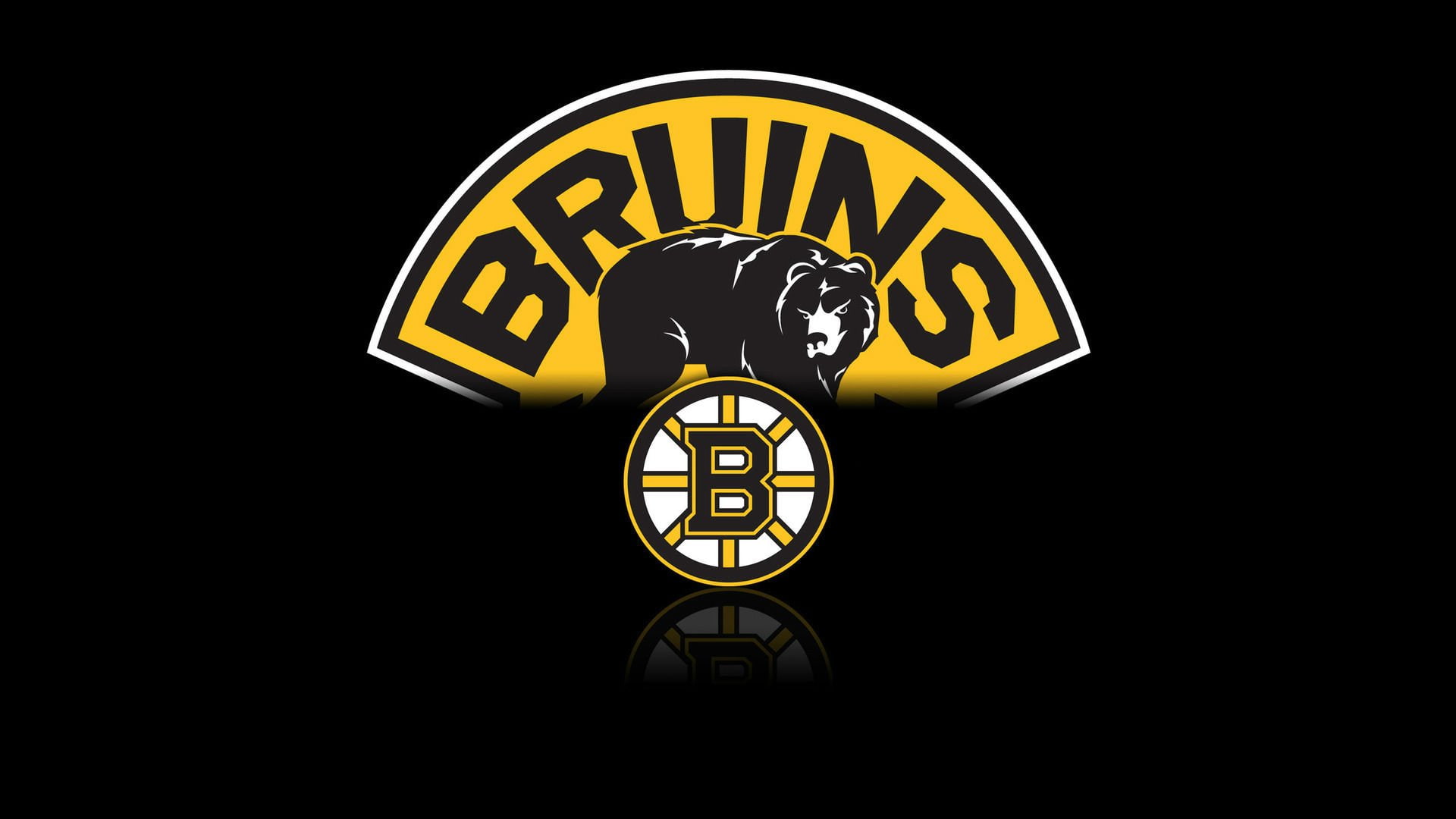 nhl, hockey, boston, 1080P, bruins, HD Wallpaper