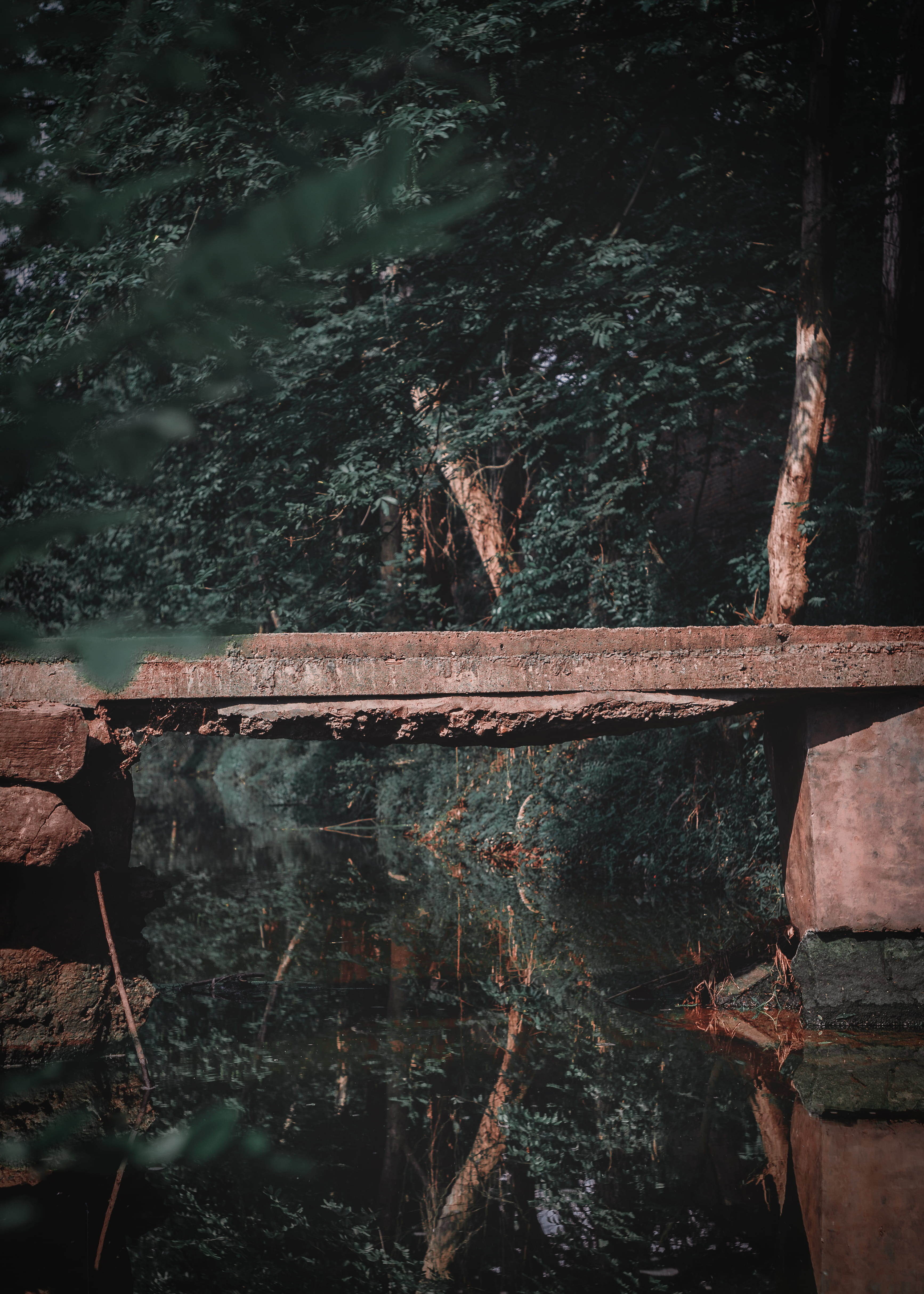 handrail, building, land, crypt, abies, rock, wood - material, lake, water, architecture, fish, texture, 4K, old, fir, no people, plant, nature, tranquility, Phone HD Wallpaper