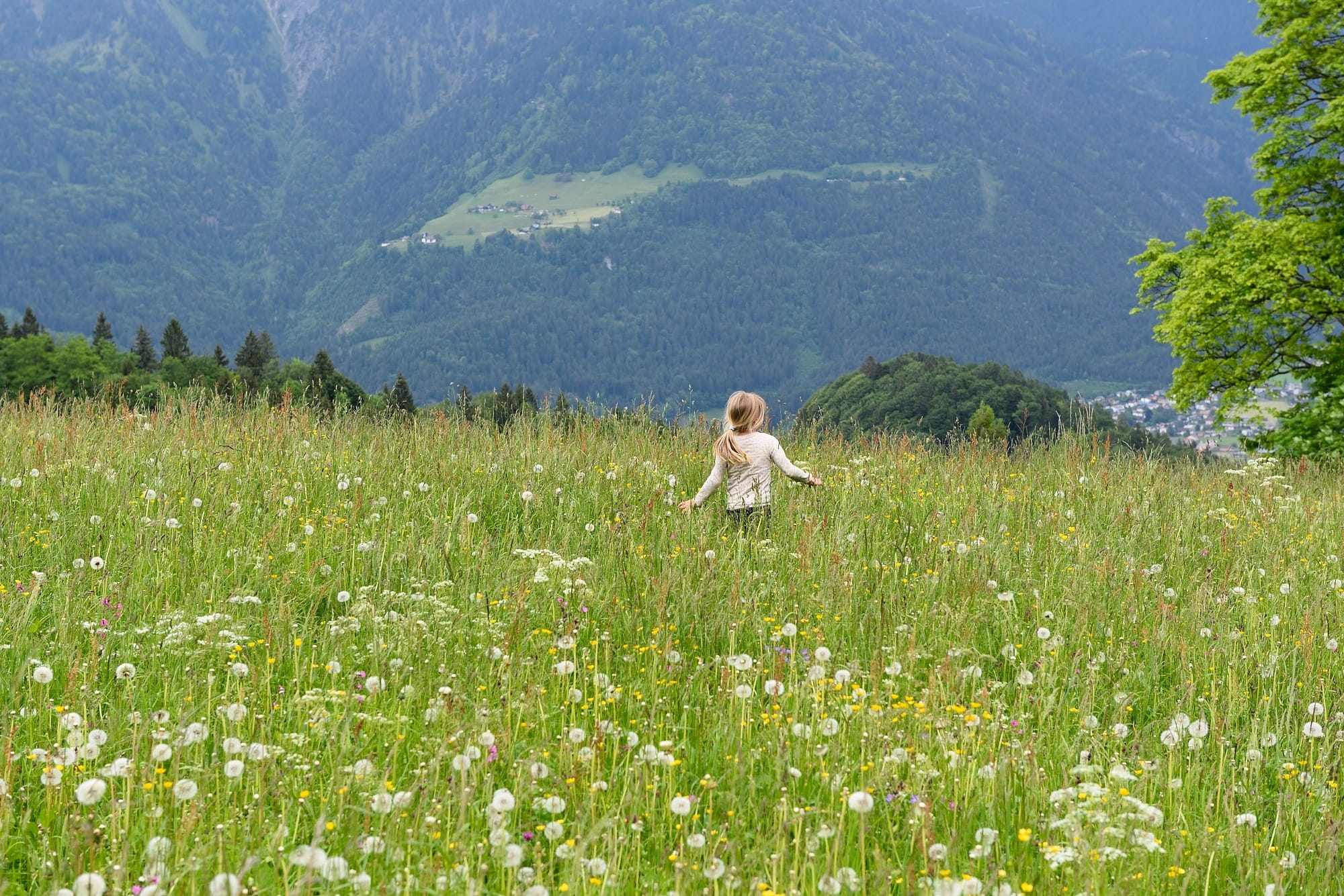 shirt, growth, white, outdoors, walking on, one person, sleeve, lifestyles, flower, three quarter length, meadow, walking, tranquility, daytime, plant, HD Wallpaper