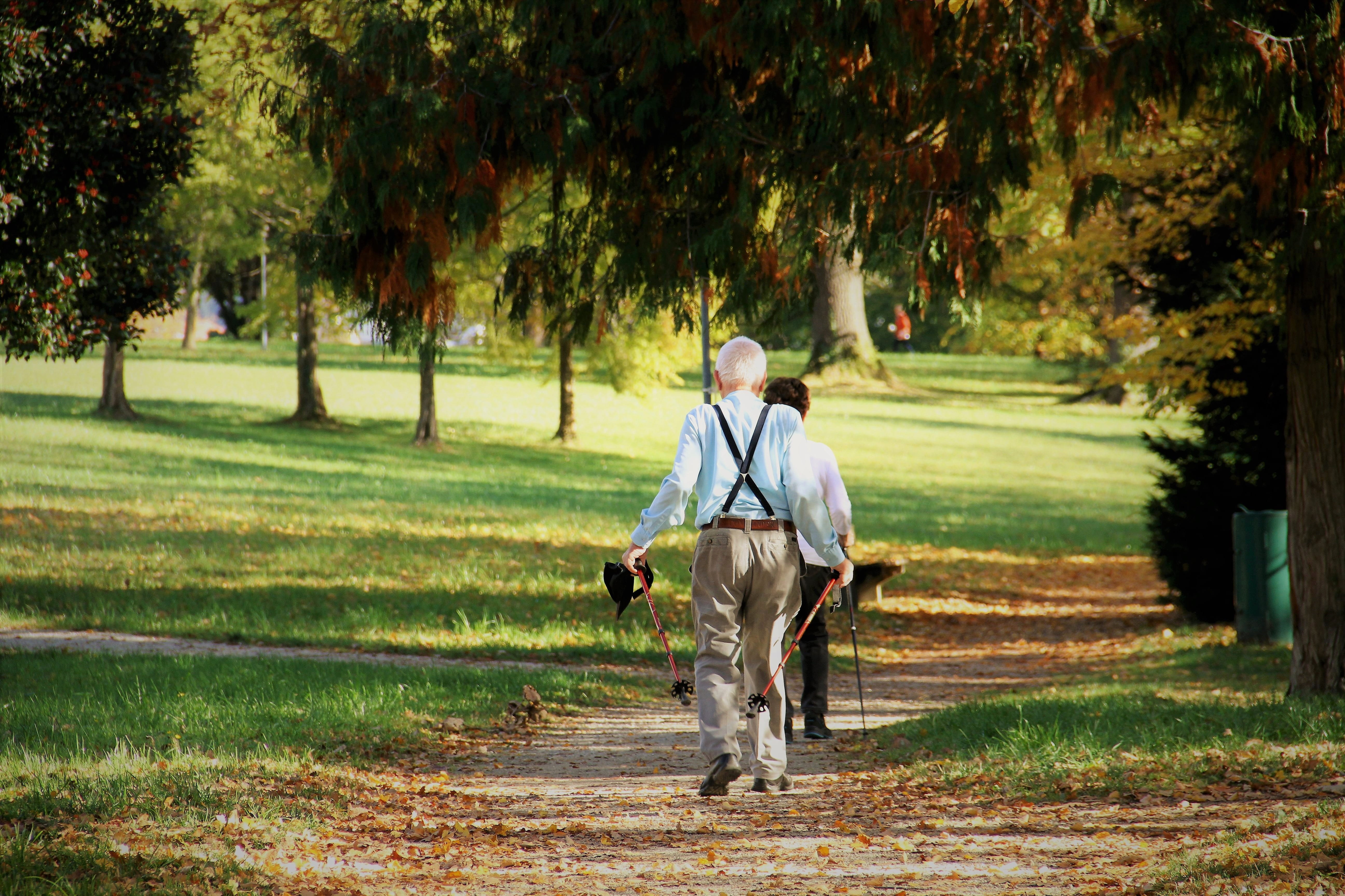 athletic old people, trimmers, october, seniors, sleeved, people, riding, plant, pets, sport nordic walking, pants, emerge, park, string, casual clothing, HD Wallpaper