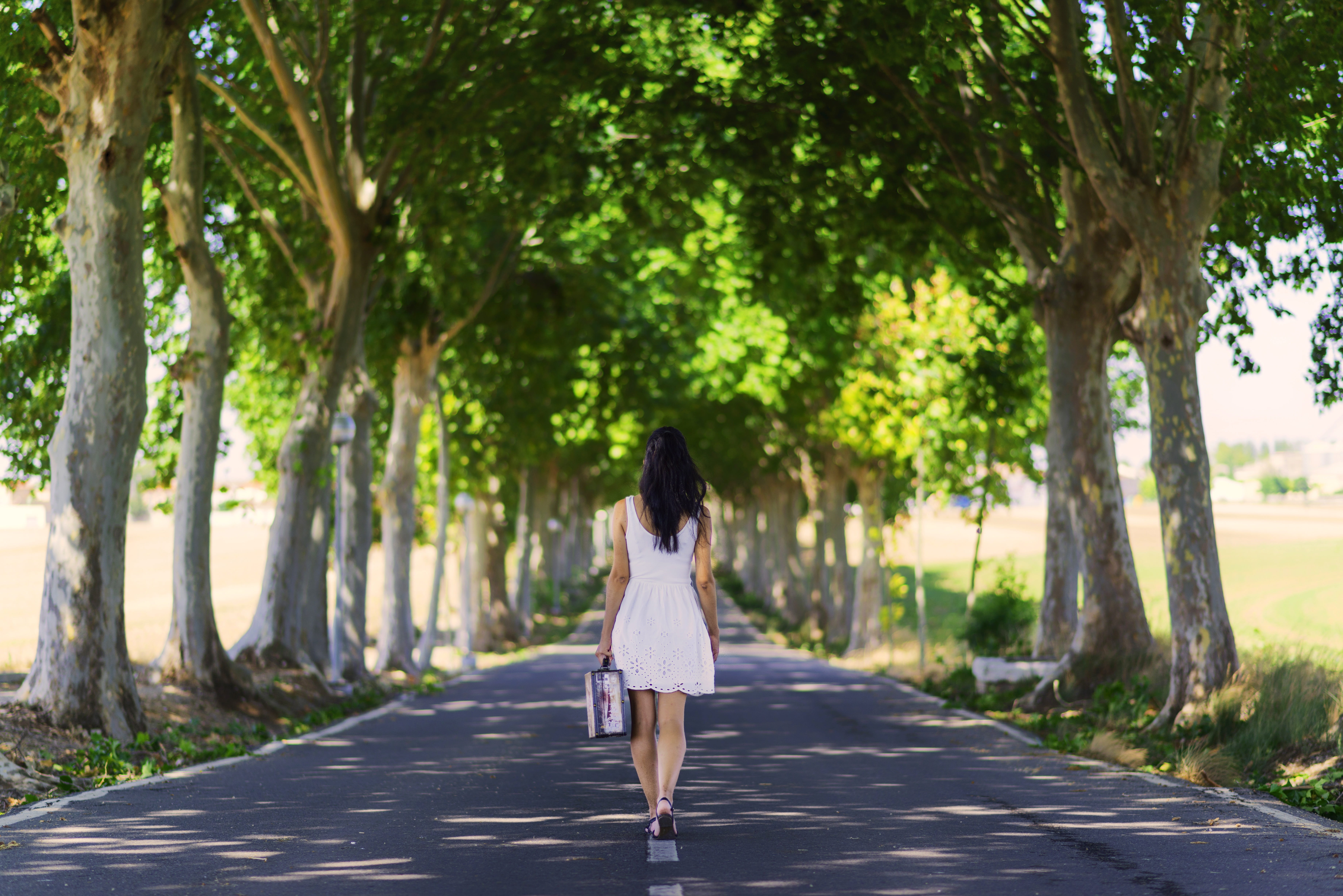 dress, calm, adult, daytime, hair, nature, beautiful woman, standing, fashion, treelined, young, thoughtful, one person, rear view, hairstyle, back, tree, HD Wallpaper