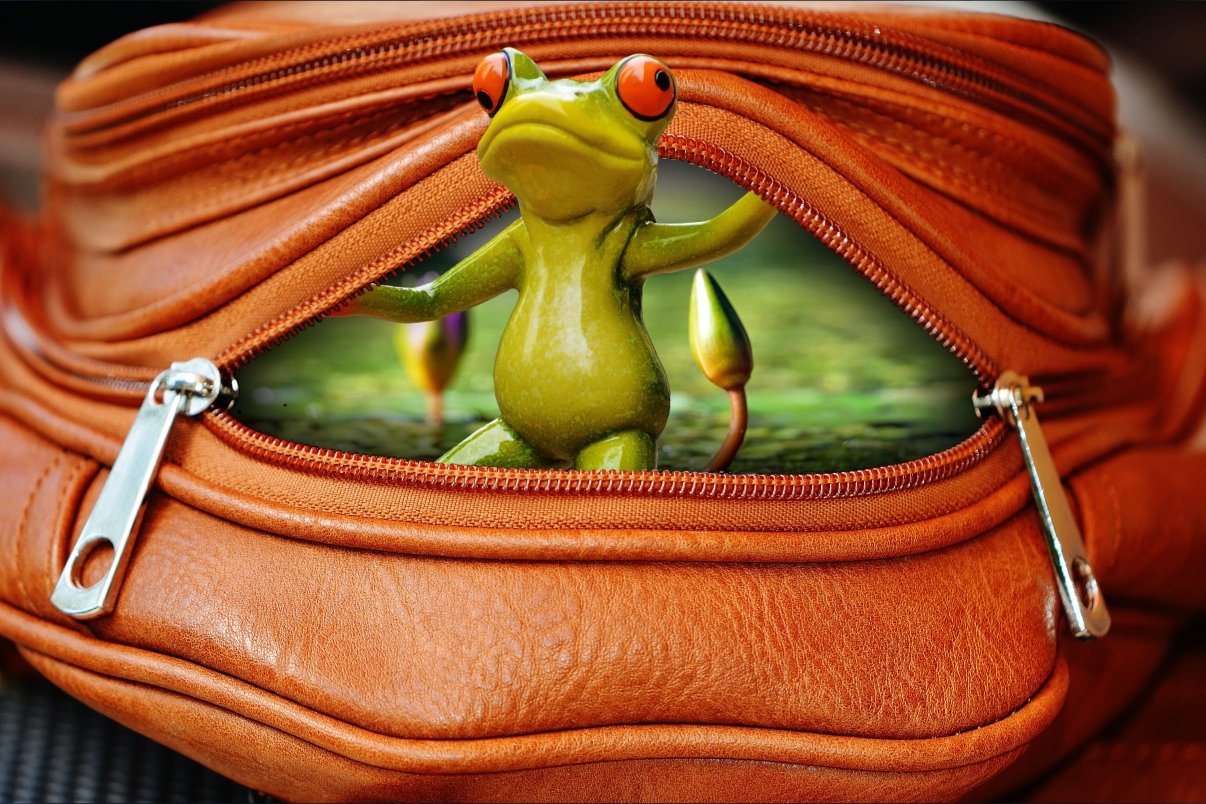 pepper, frog, healthy eating, outdoors, focus on foreground, funny, food, green, container, open, zip, freshness, basket, no people, edited, tree, close-up, HD Wallpaper
