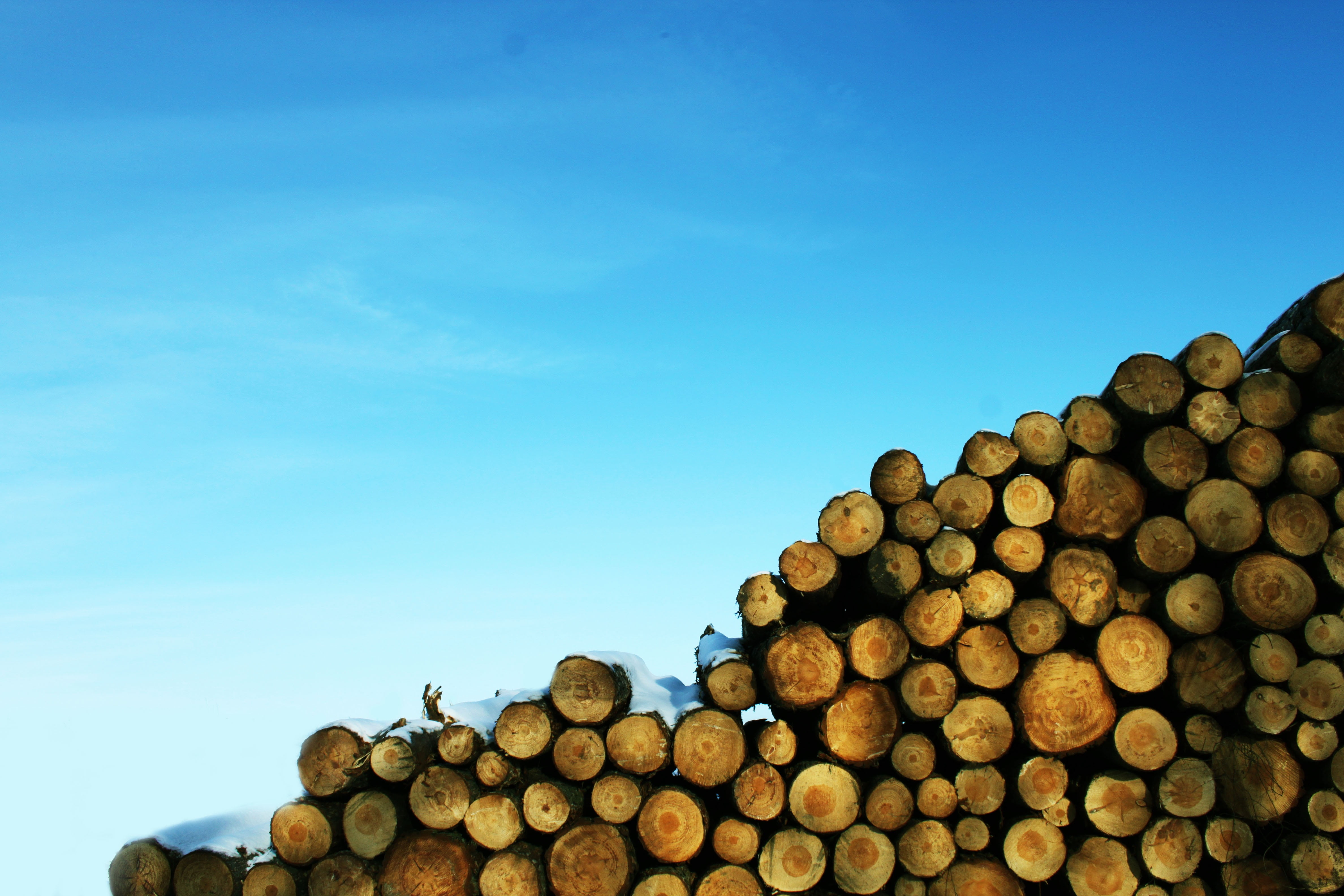 stack, sky, lot, nature, woodpile, day, blue, firewood, no people, daytime, digital, timber, log, sunny, industry, cloudy, wood - material, white, cloud, HD Wallpaper