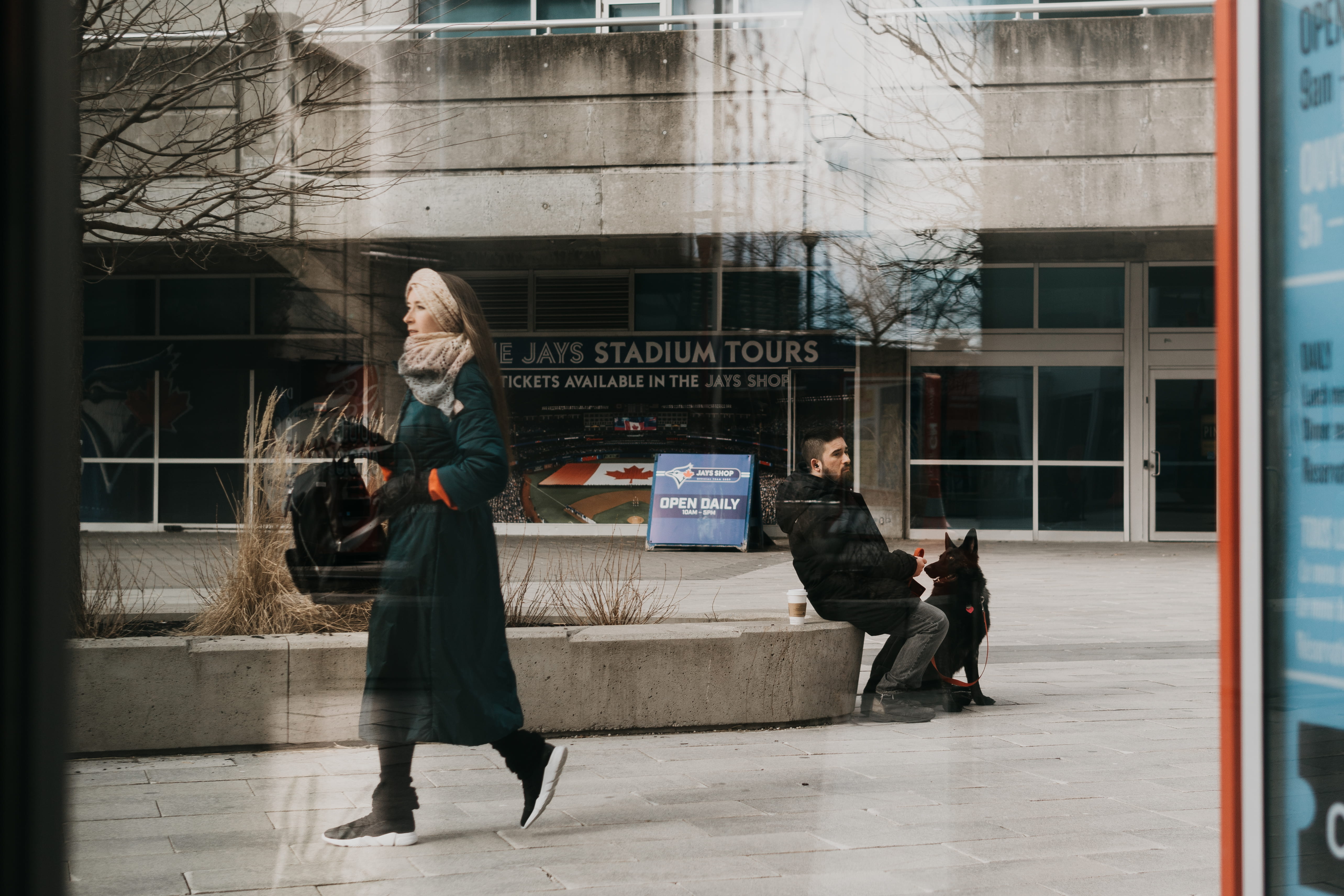 person, 5K, daytime, street, outdoors, cn tower, walking, dog, reflect, architecture, leisure activity, transparent, window, concrete, day, glass - material, HD Wallpaper